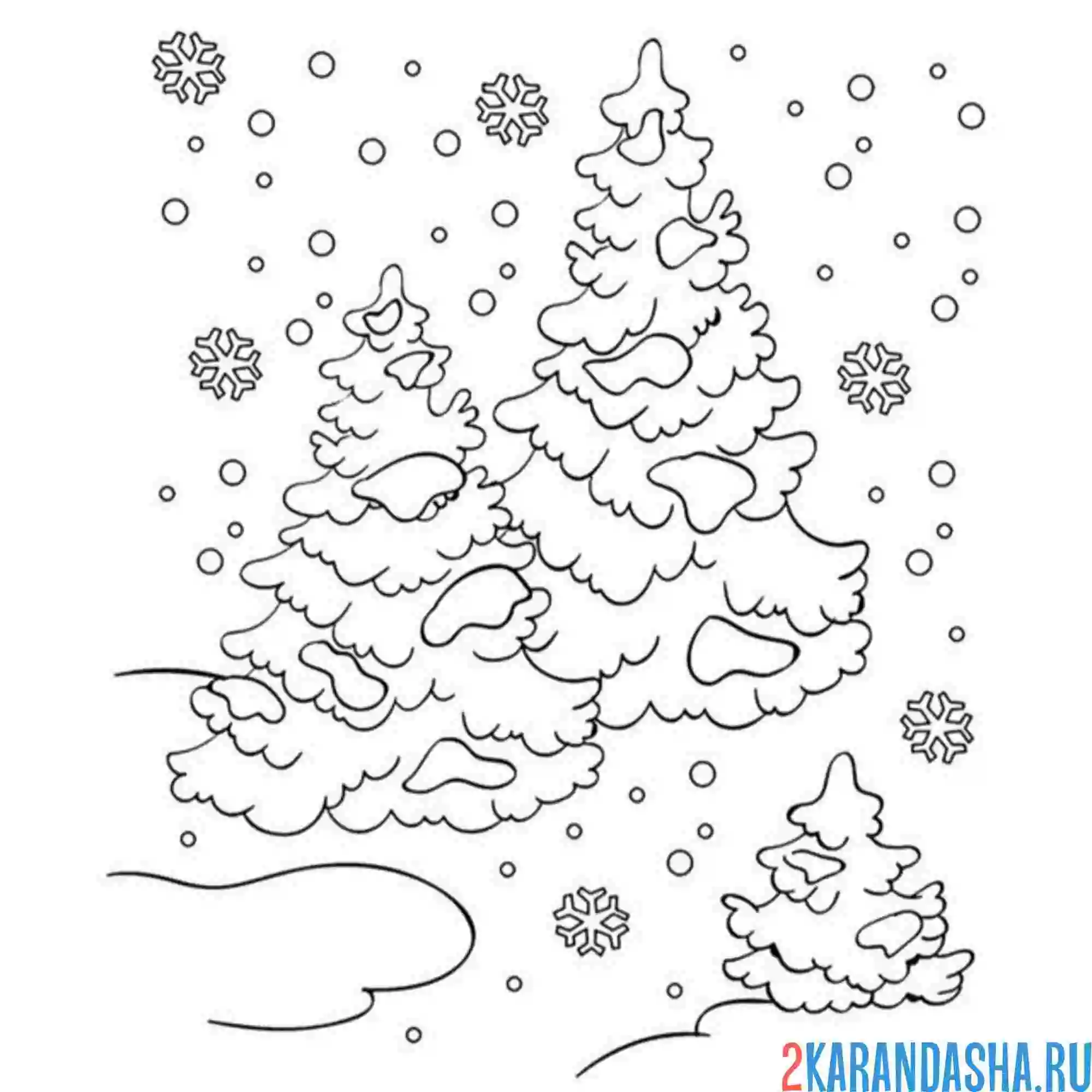 Раскраска снег в хвойном лесу