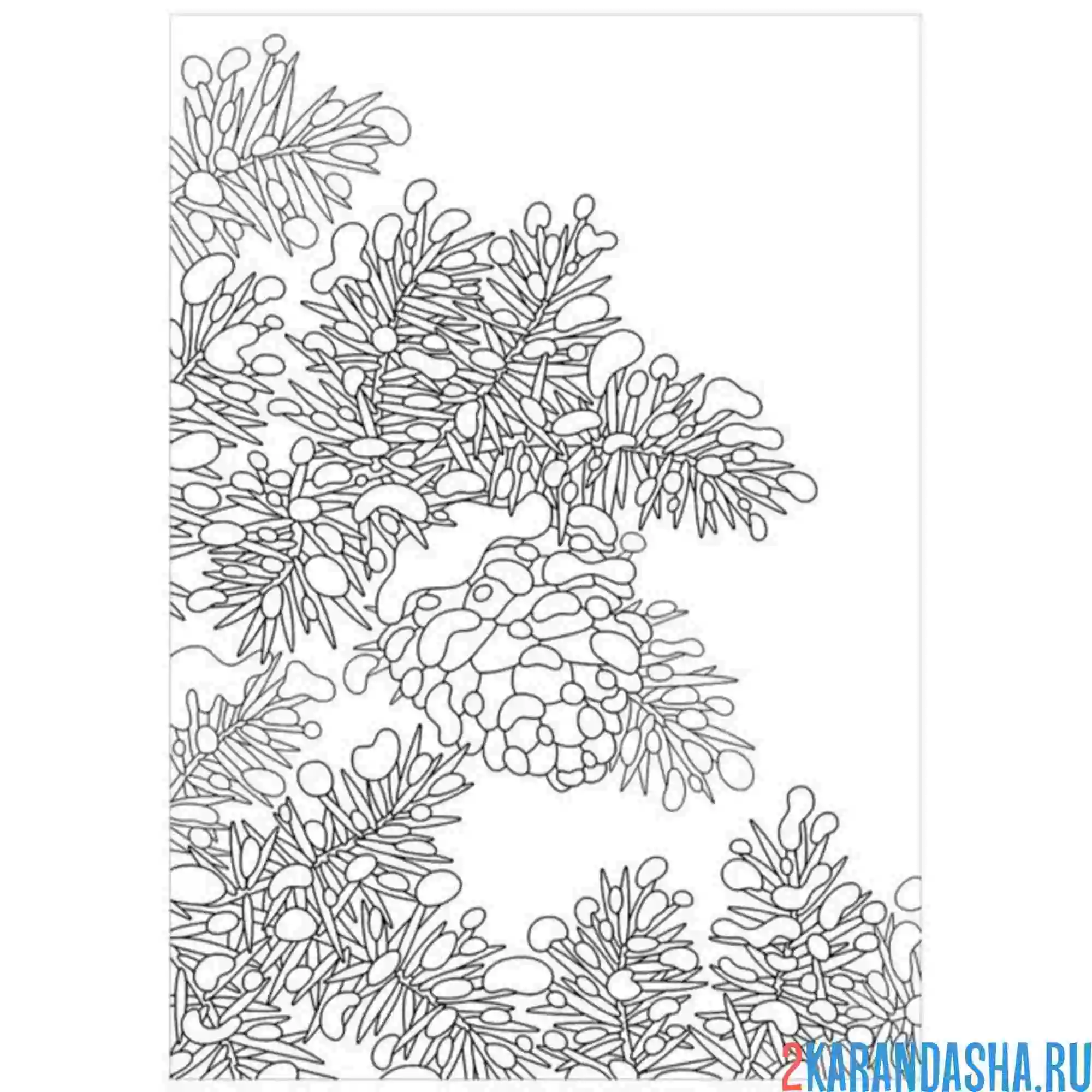 Раскраска елка в снегу