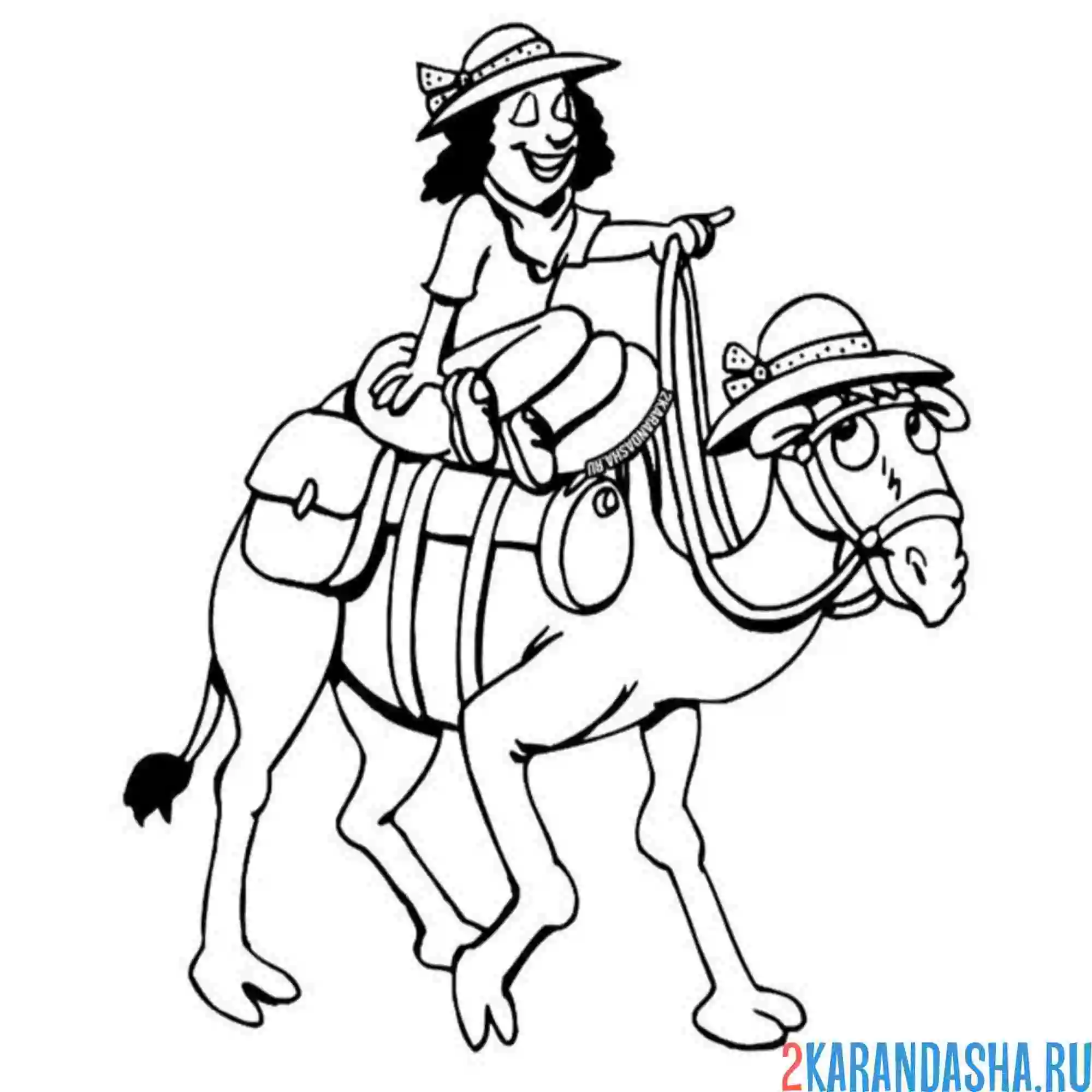 Раскраска турист на верблюде