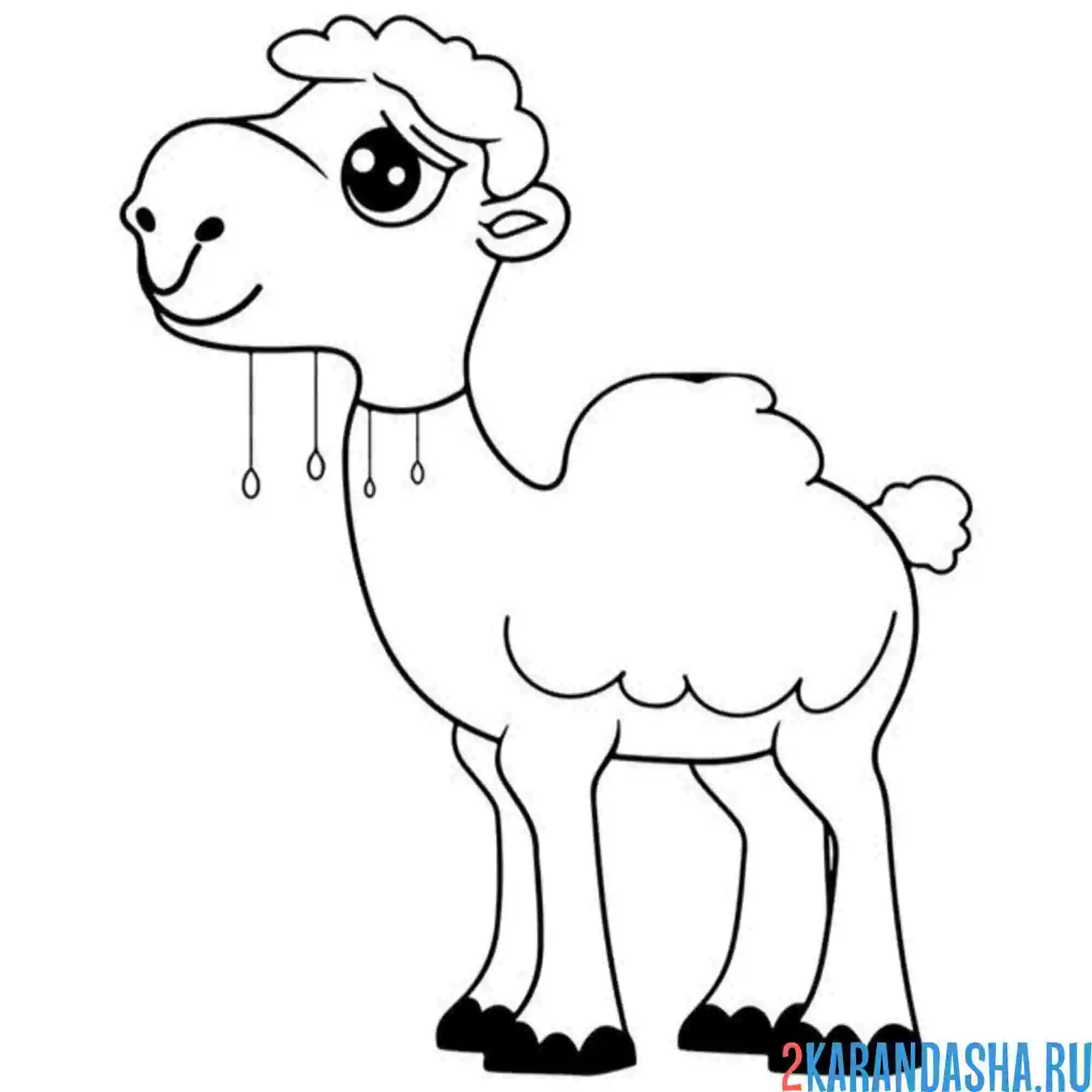 Раскраска маленький верблюд