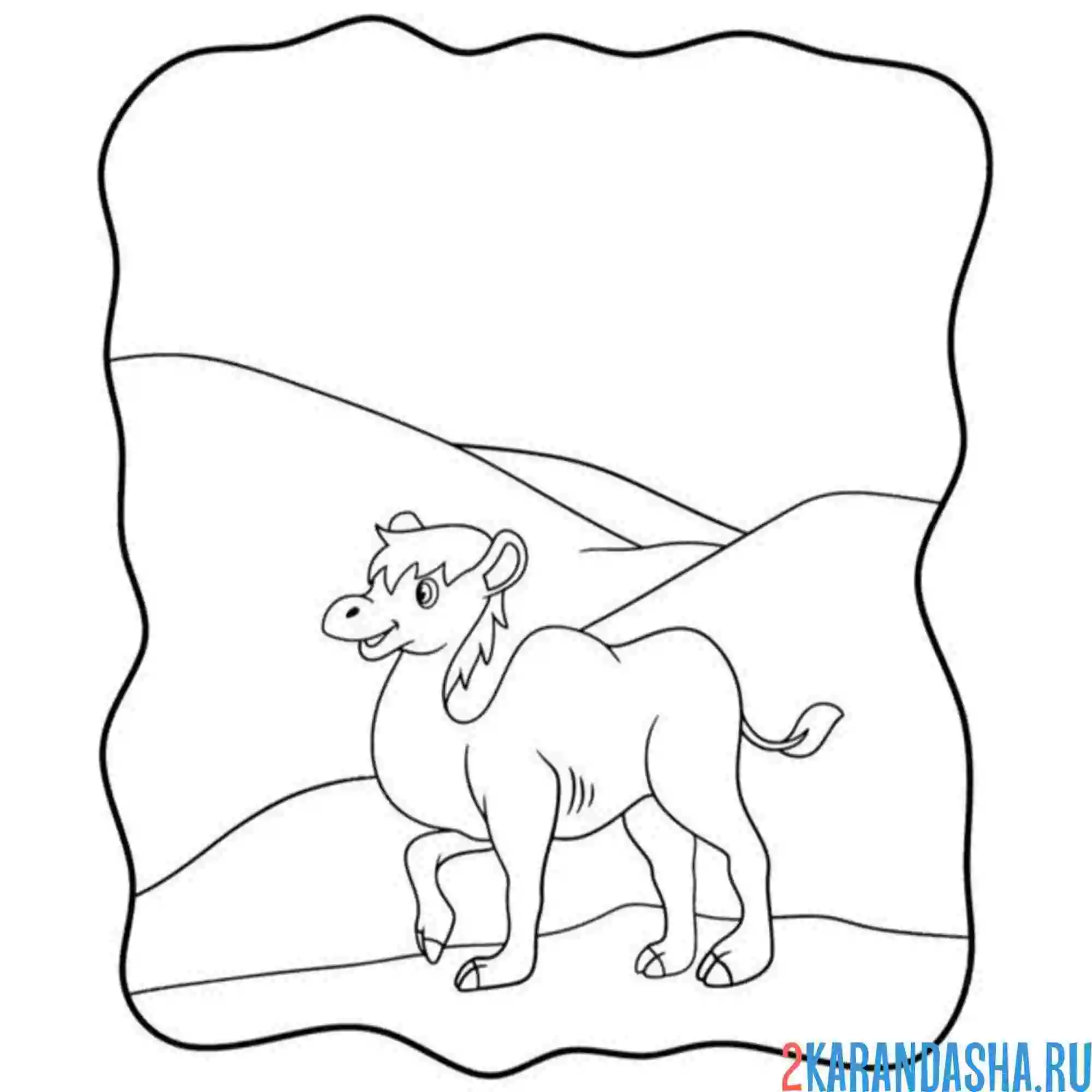 Раскраска пустыня с верблюдом