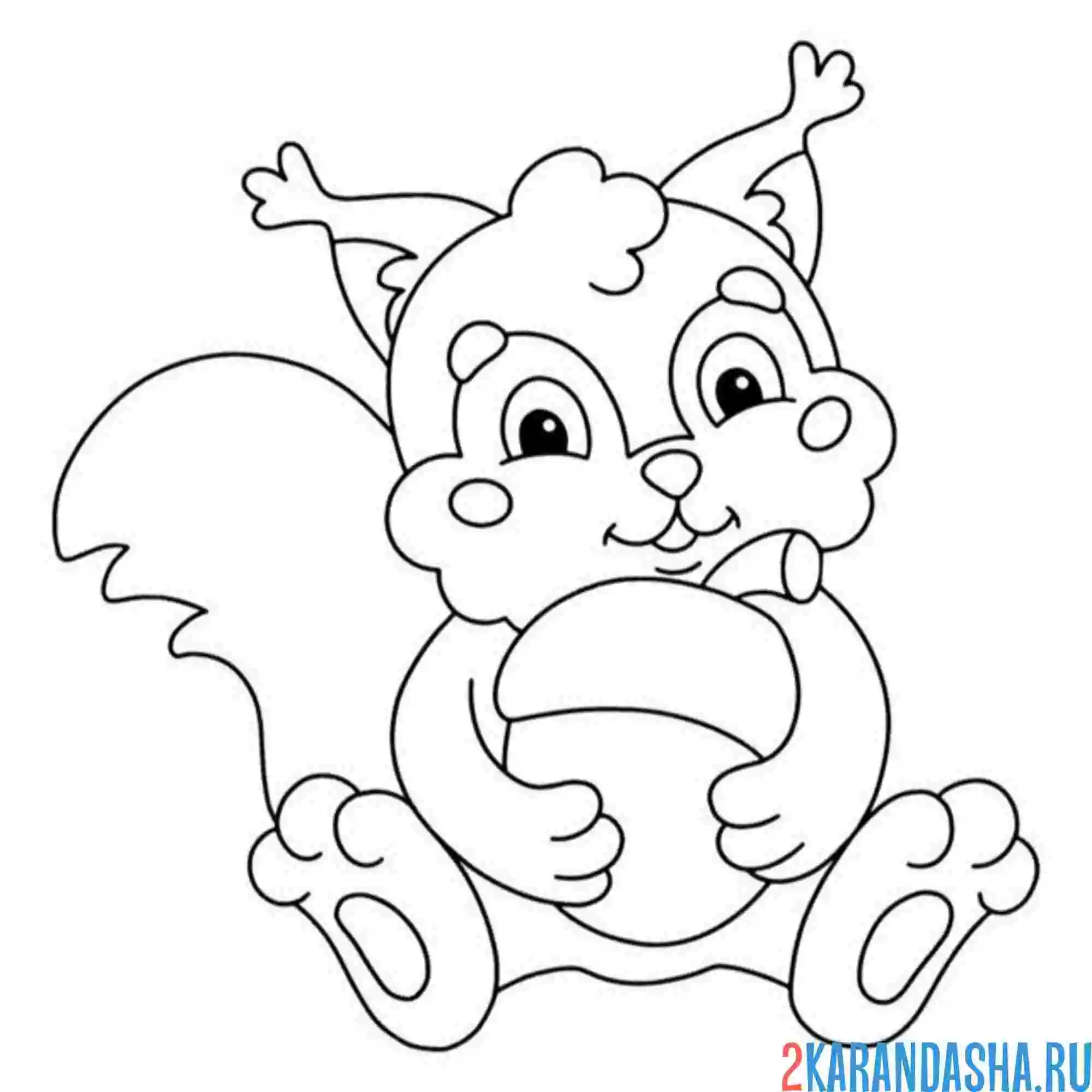 Раскраска белка обнимает орех