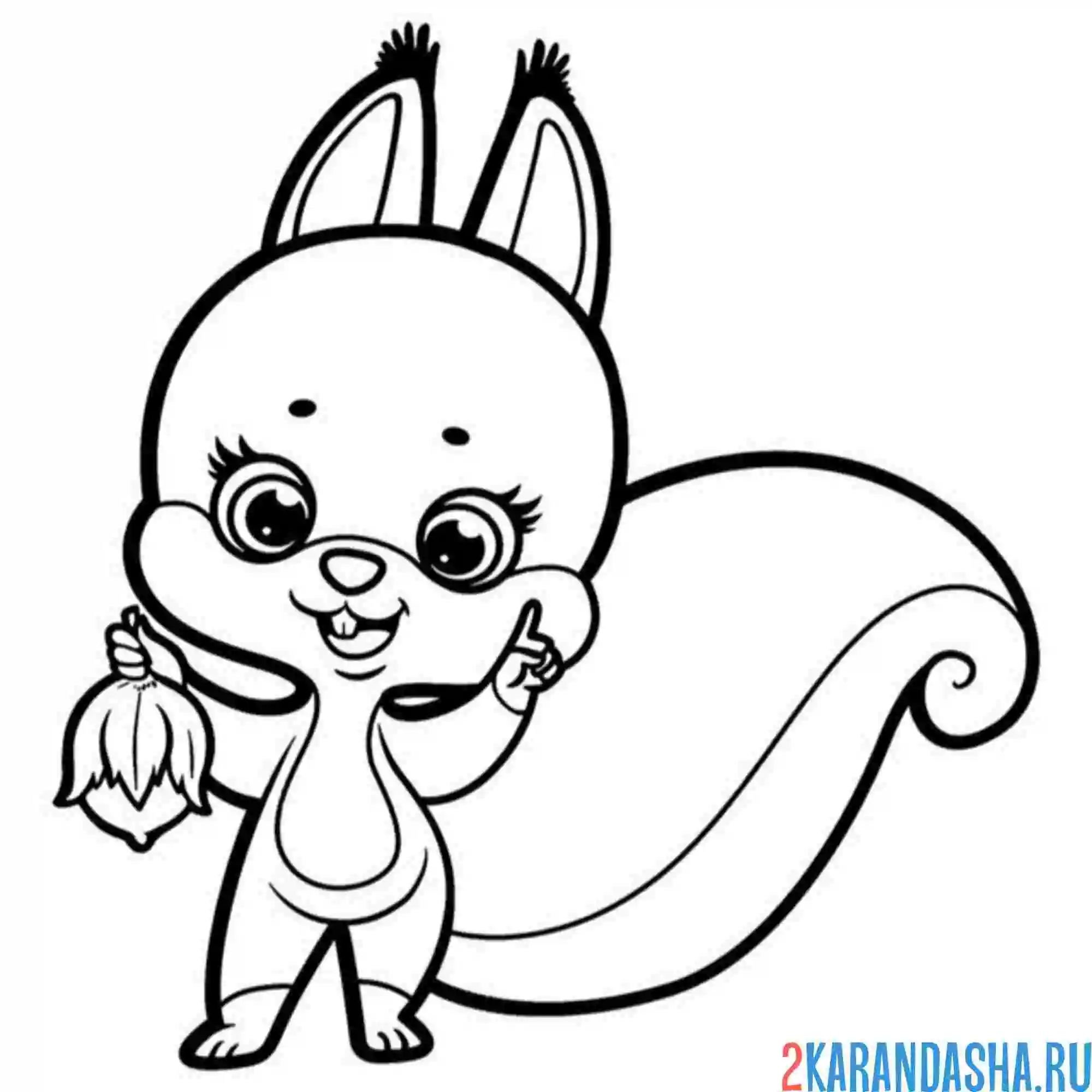 Раскраска белочка и цветочек