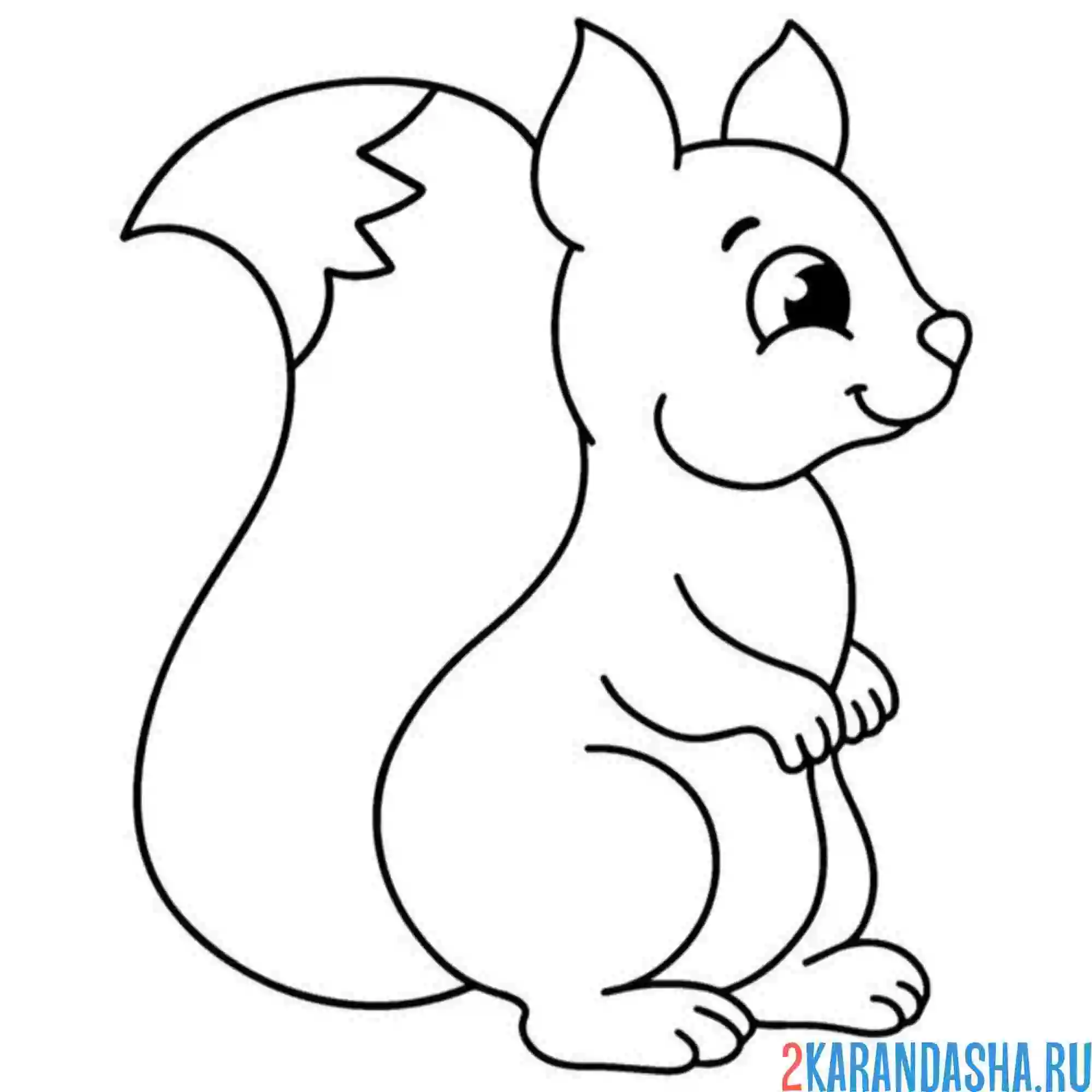 Раскраска милашная белочка