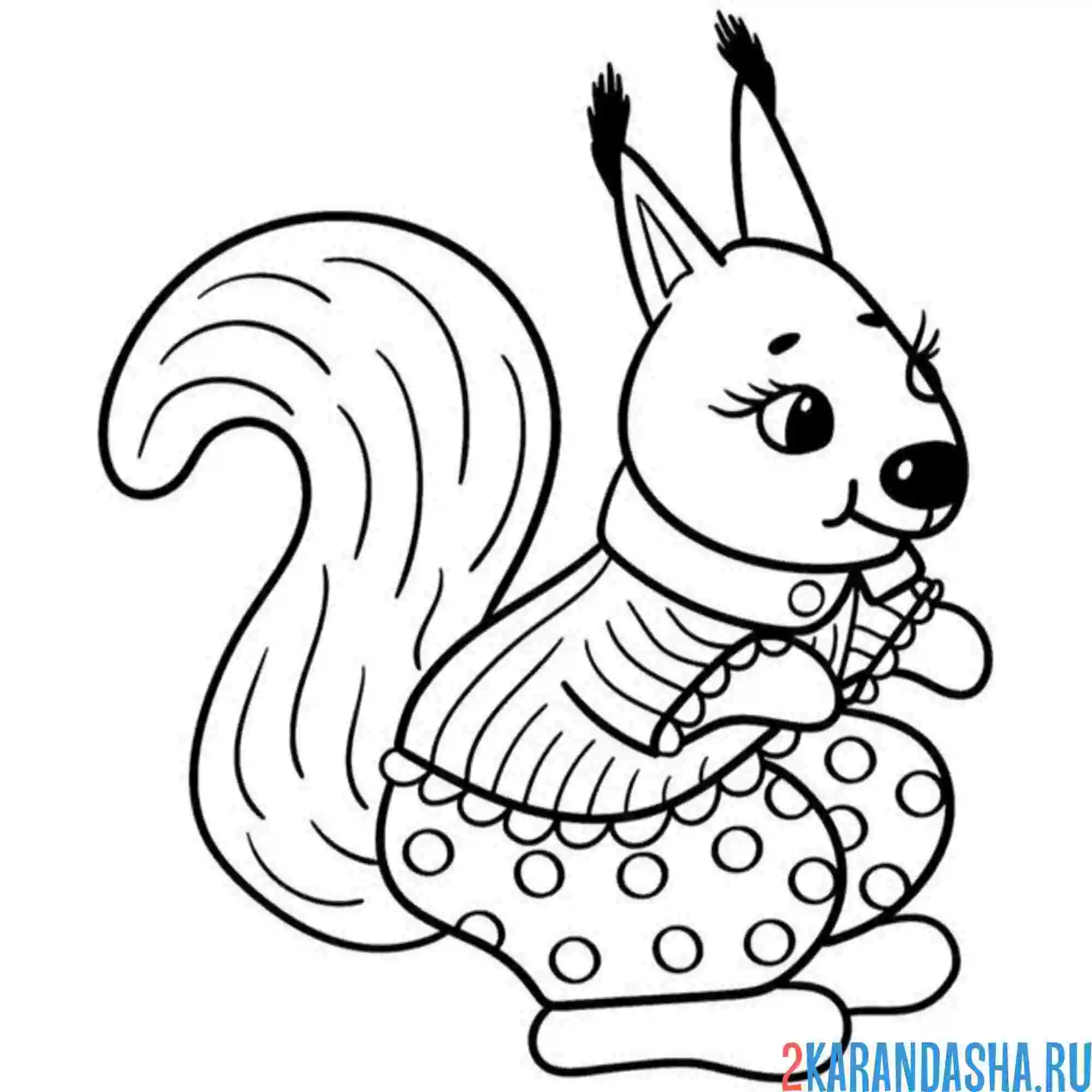 Раскраска русская белочка