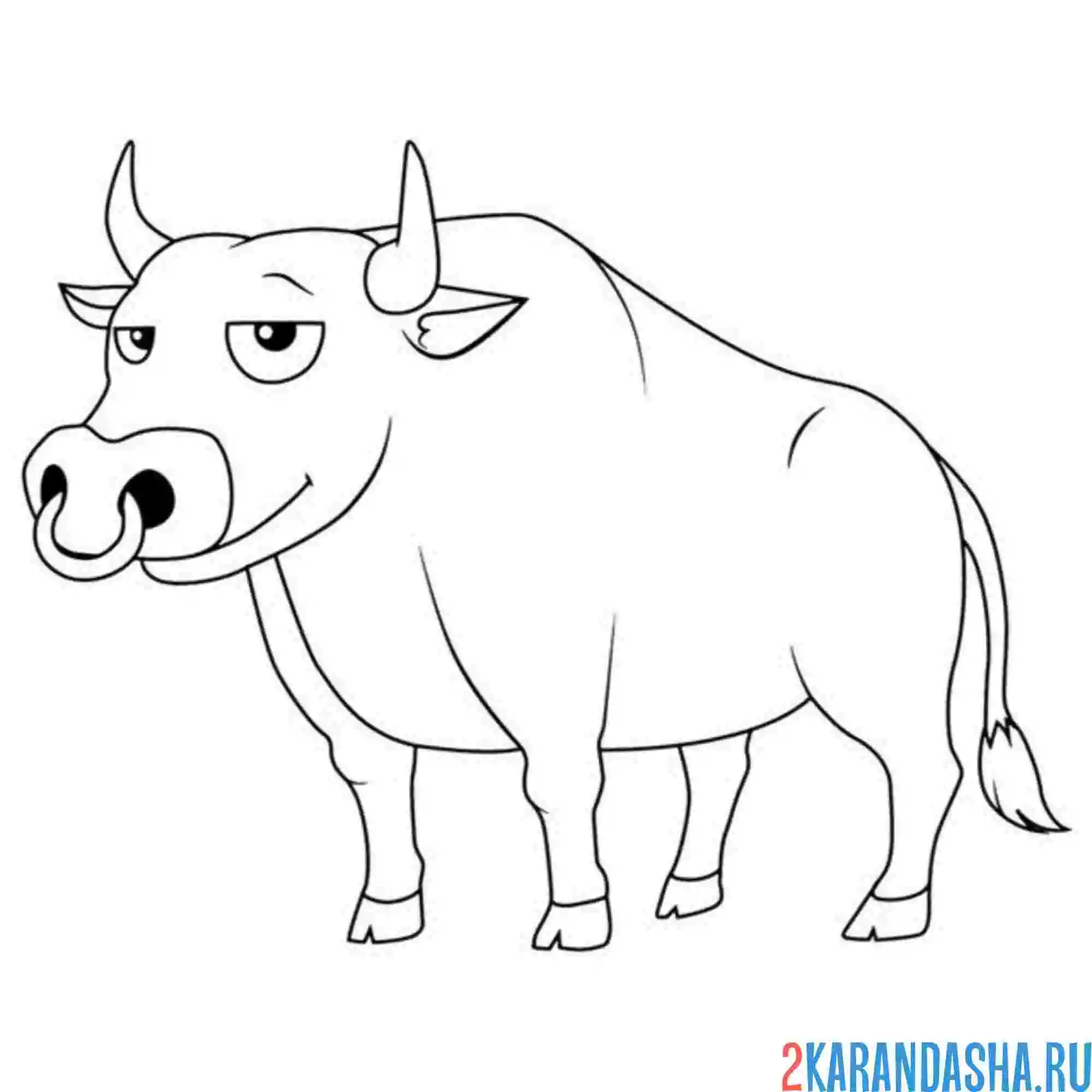 Раскраска бык с кольцом