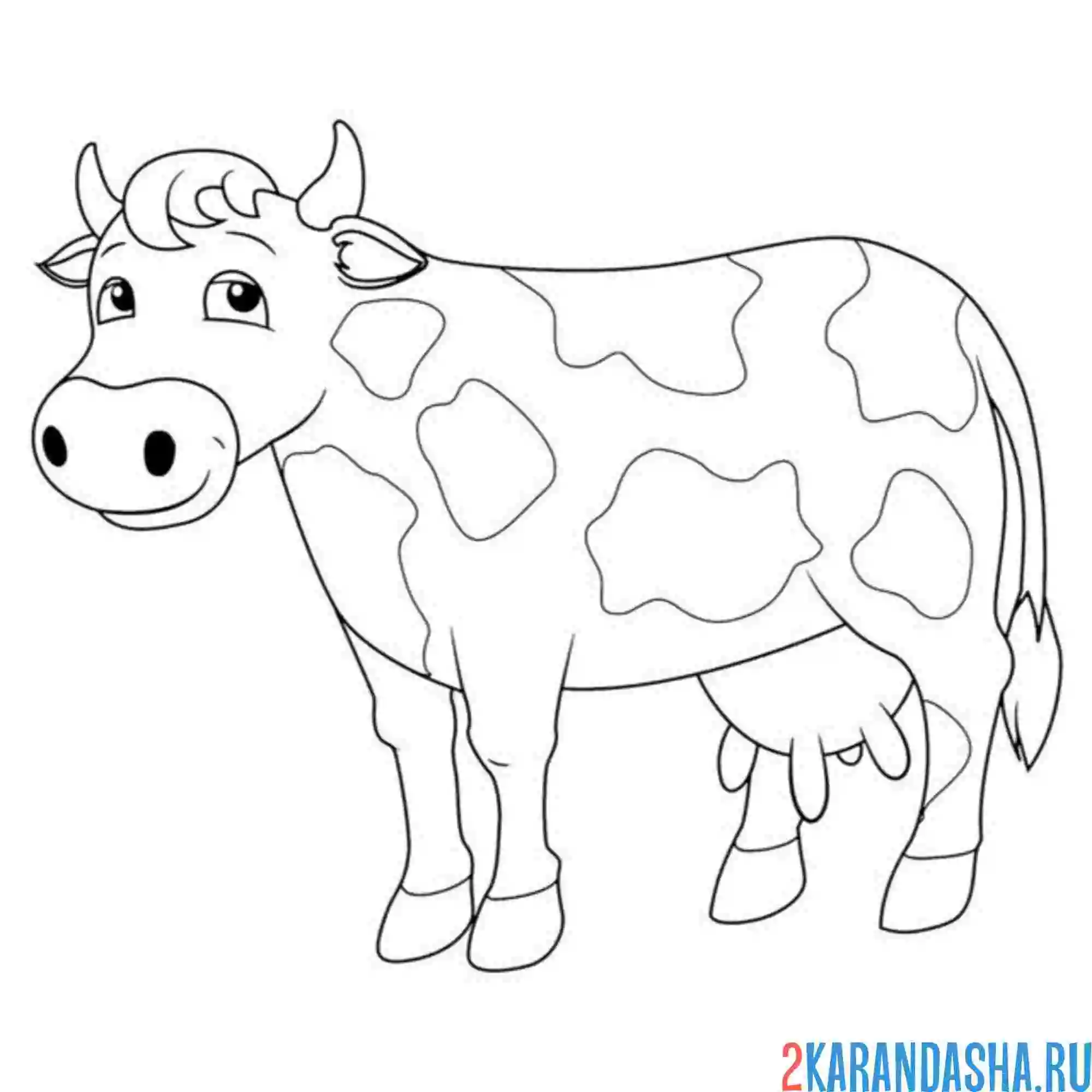 Раскраска пятнистая корова