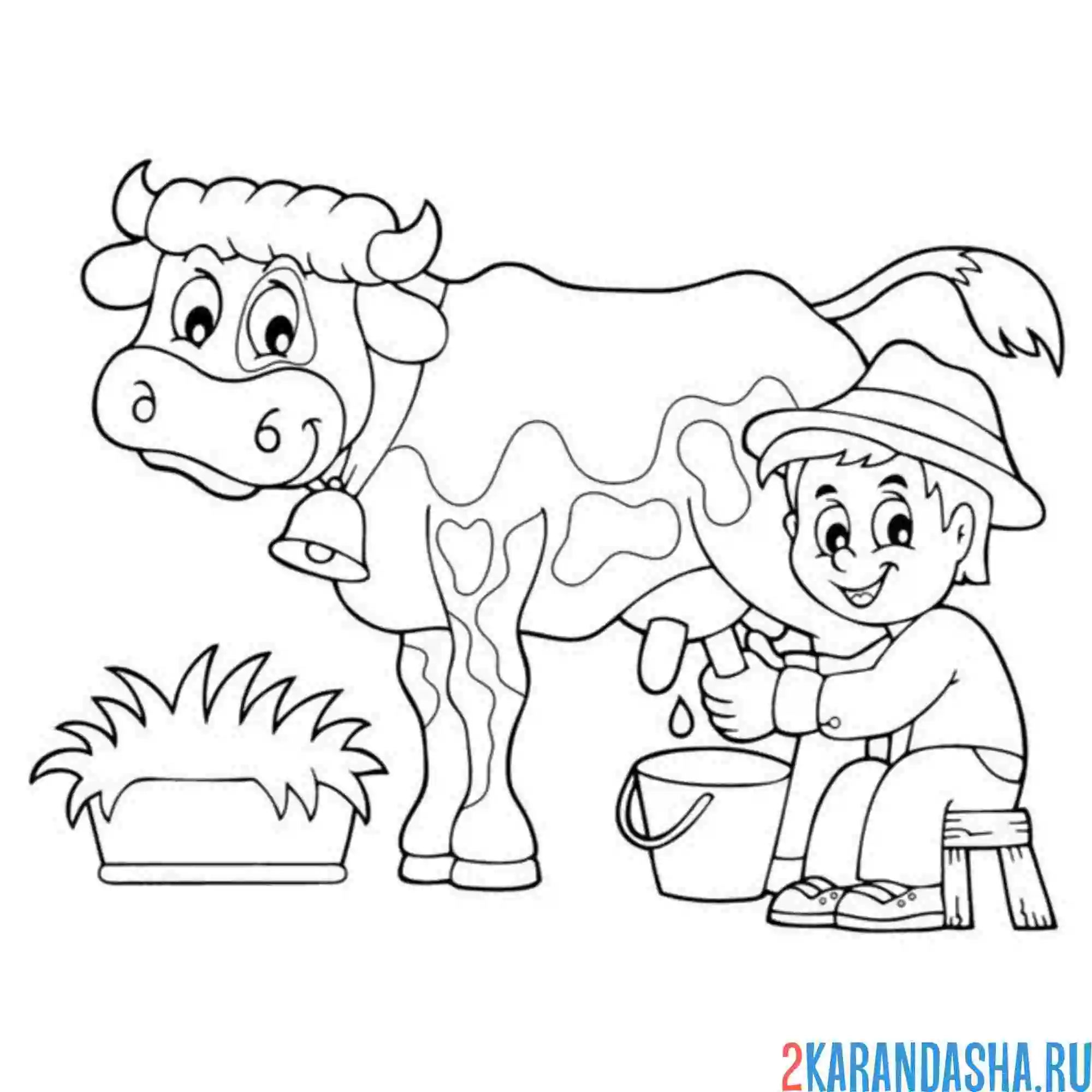 Раскраска мальчик доит корову