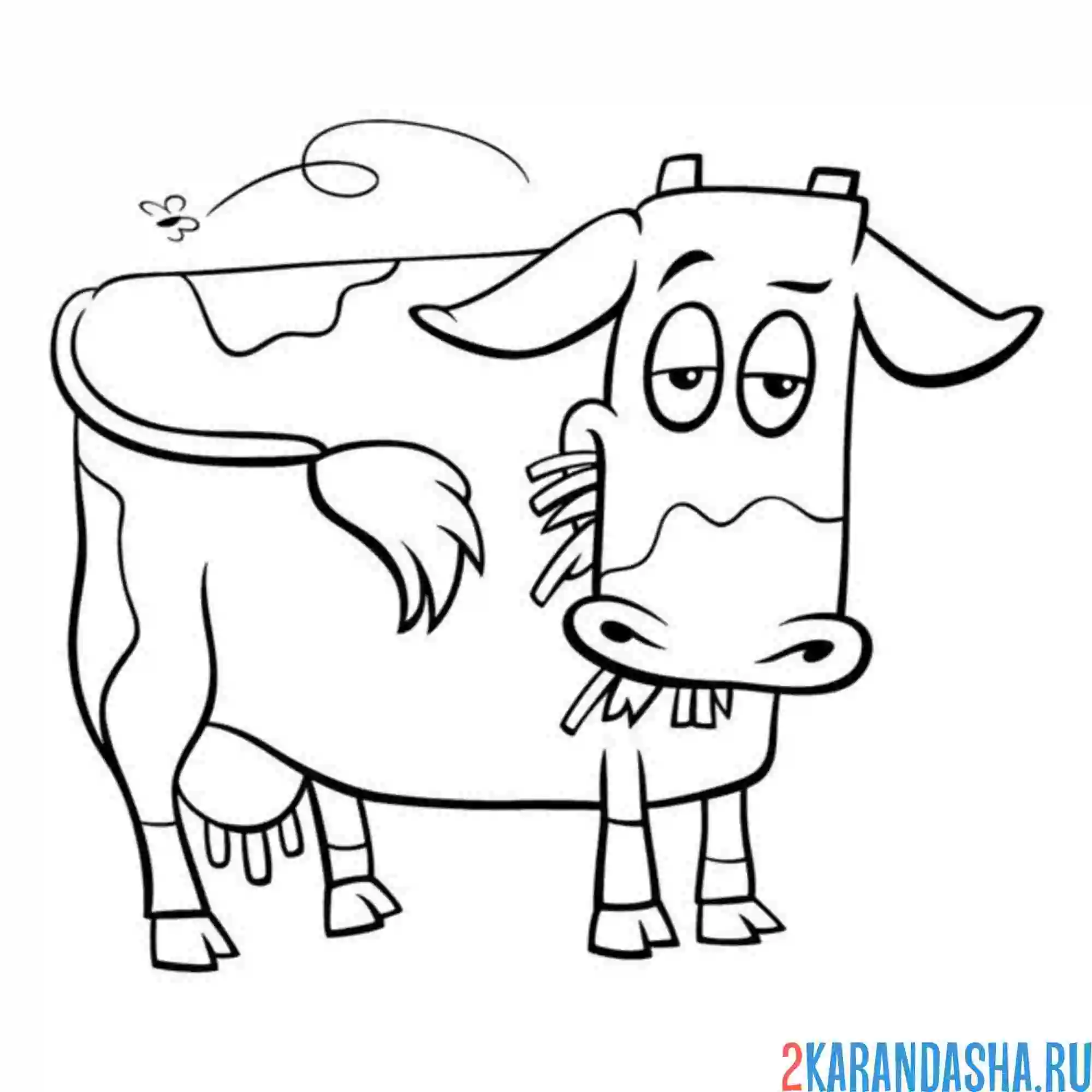 Раскраска корова спит