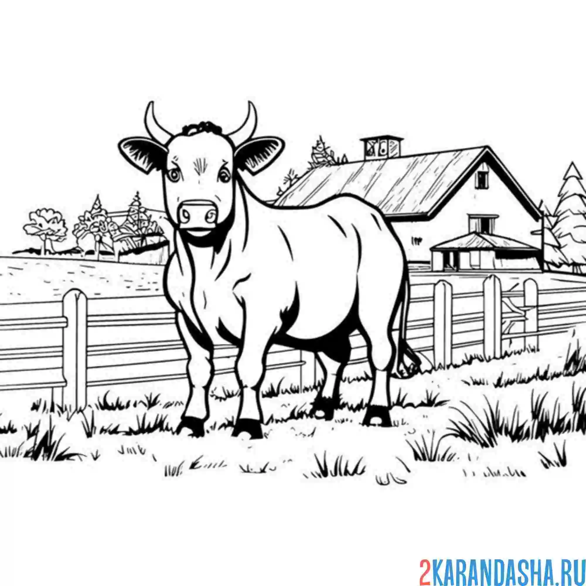 Раскраска бык на ферме