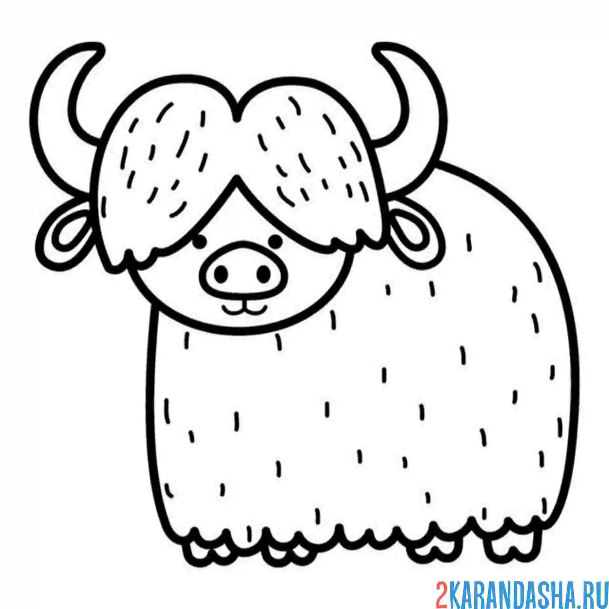 Раскраска як бык