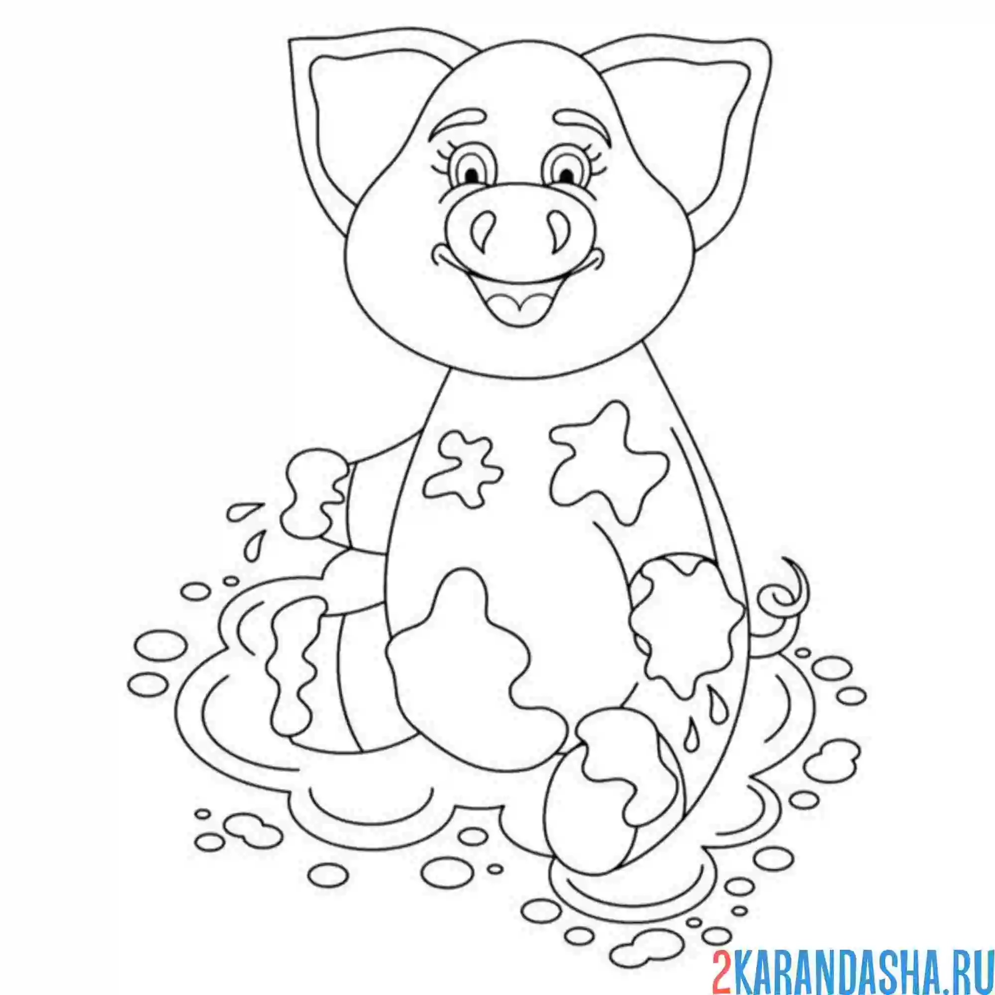 Раскраска свинка в луже