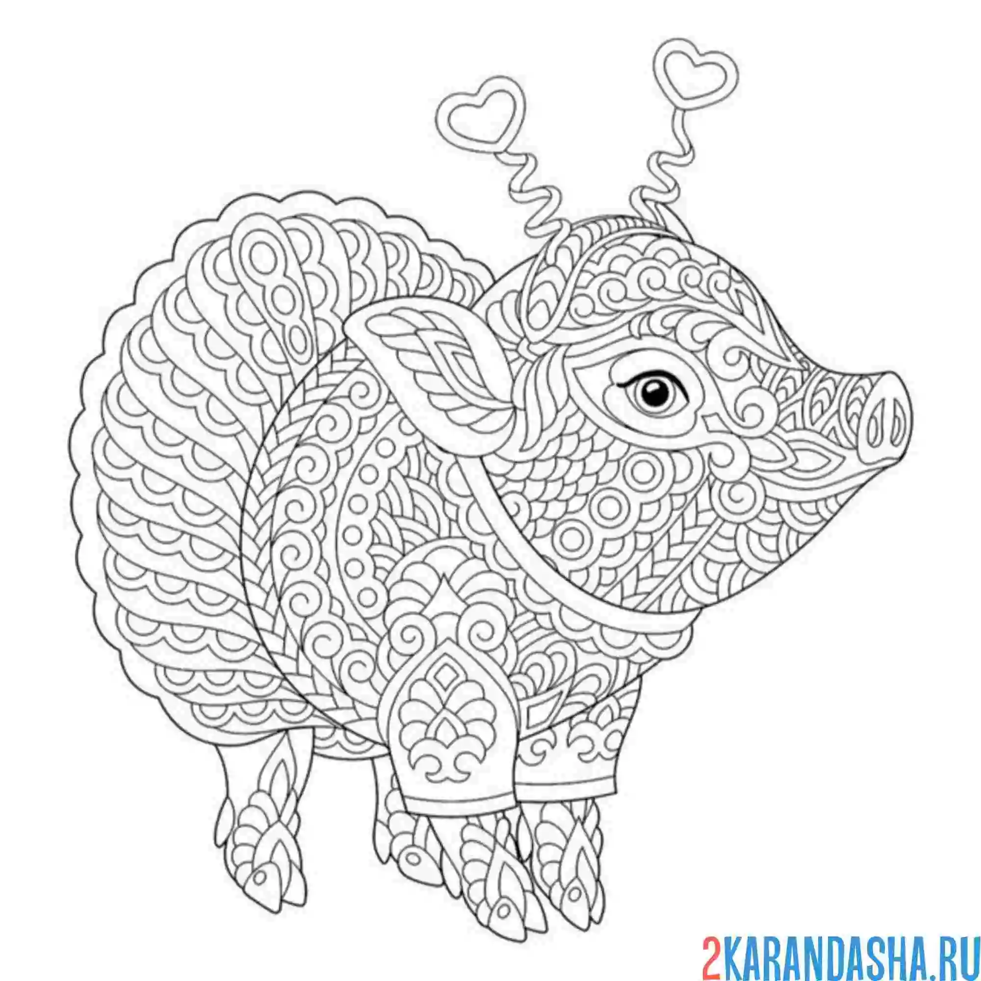 Раскраска свинка свинья антистресс