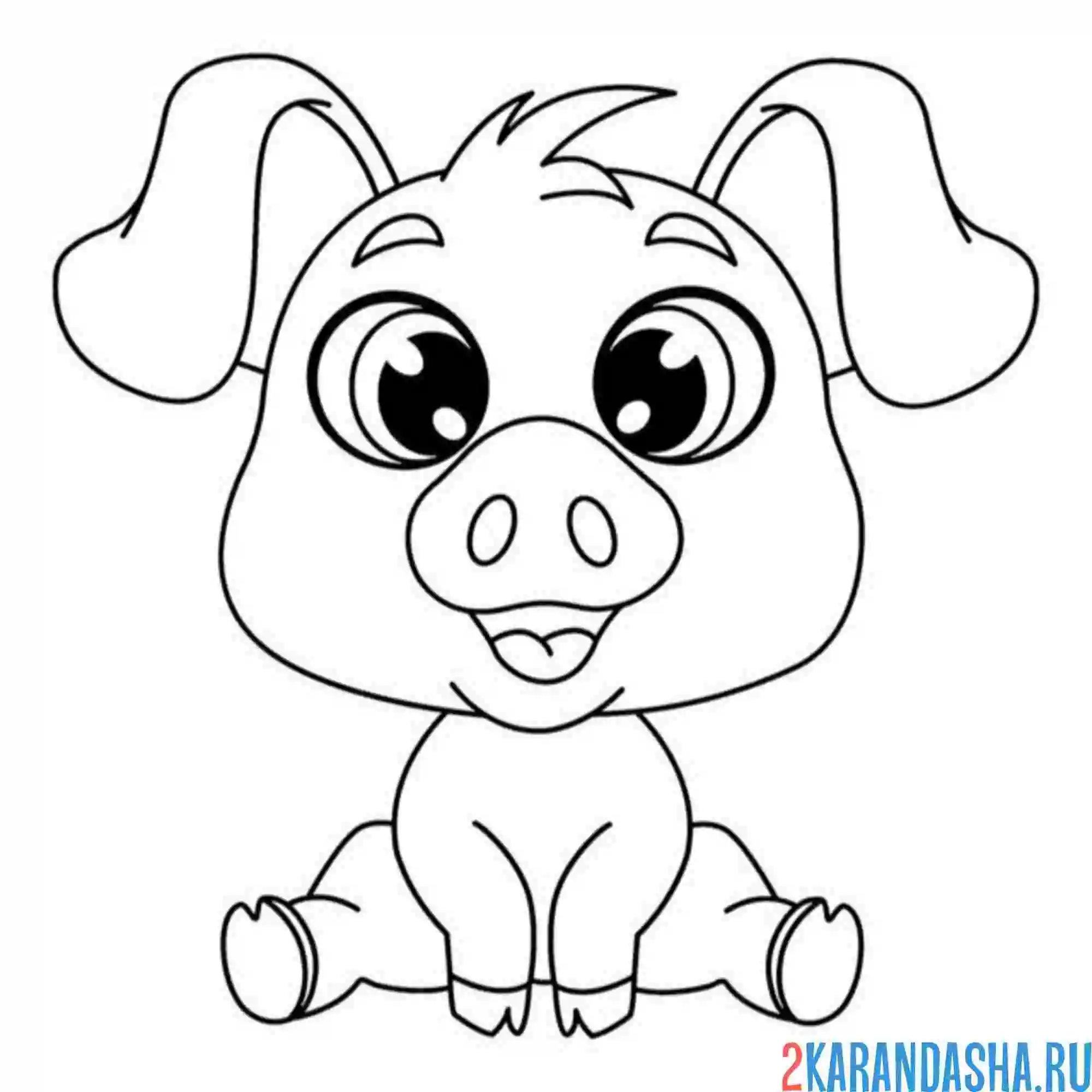 Раскраска маленький поросенок сидит