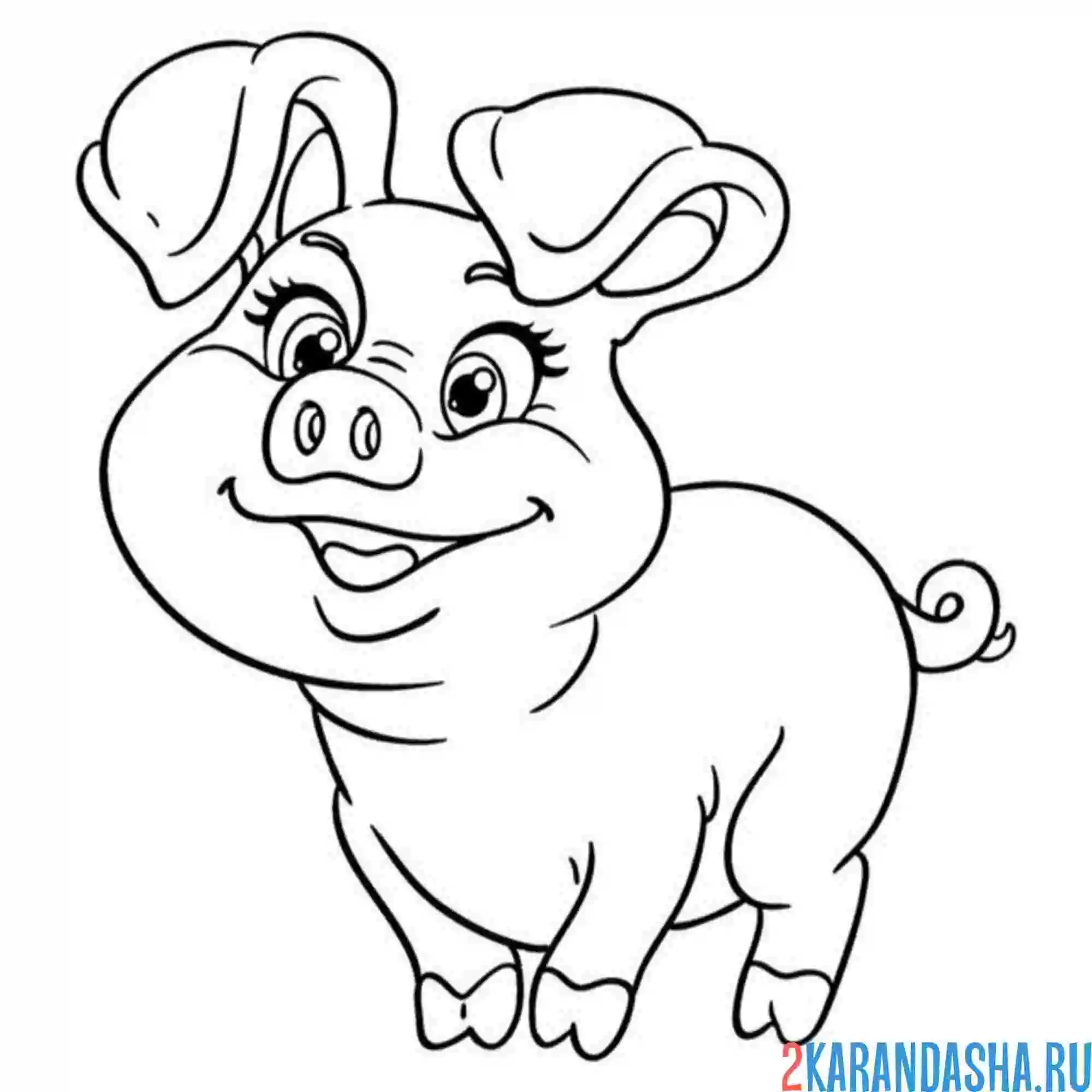 Раскраска смешная свинья