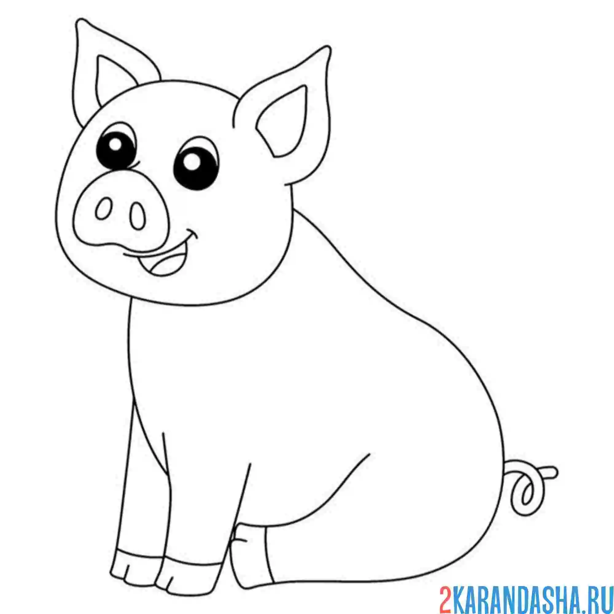 Раскраска свинья сидит