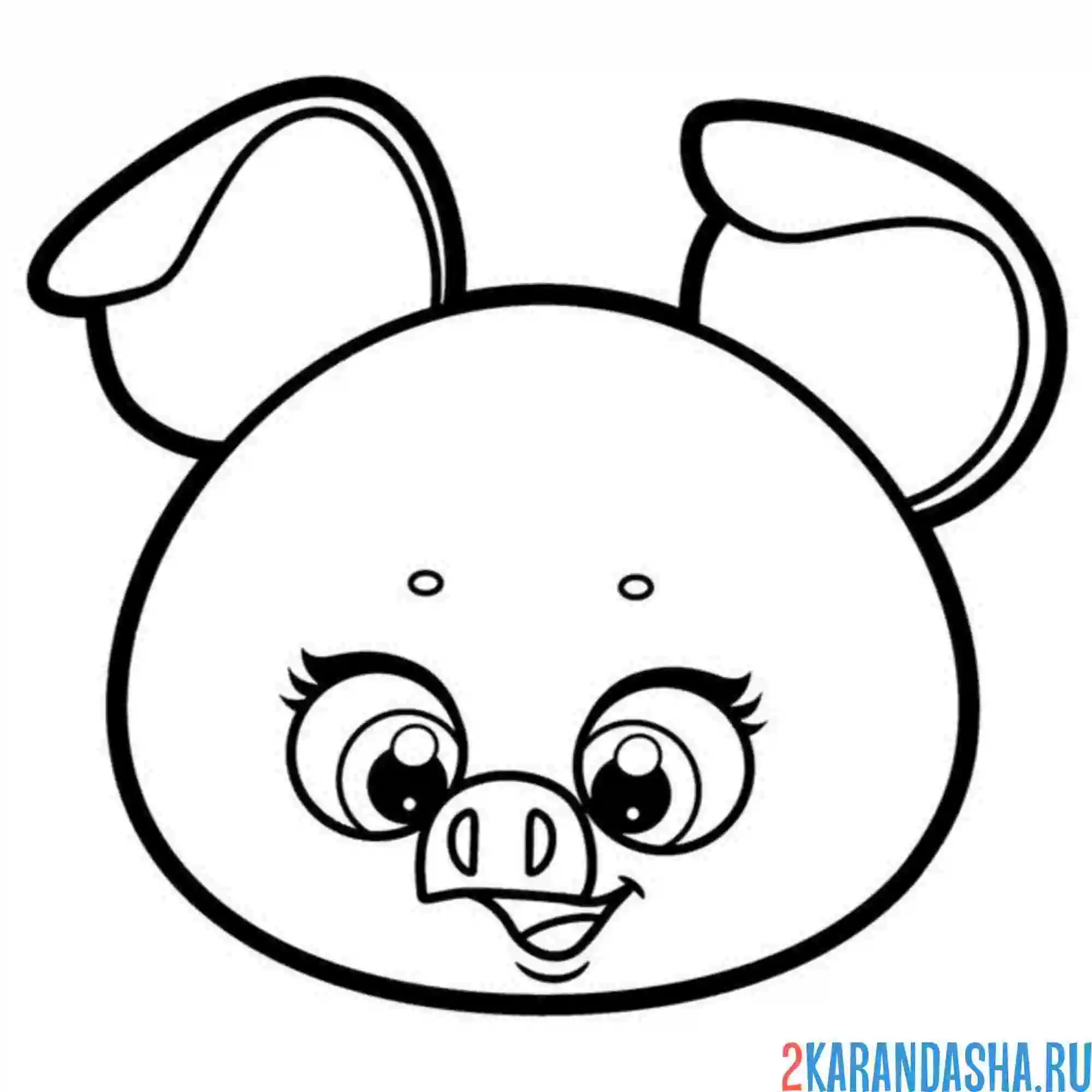 Раскраска голова поросенка