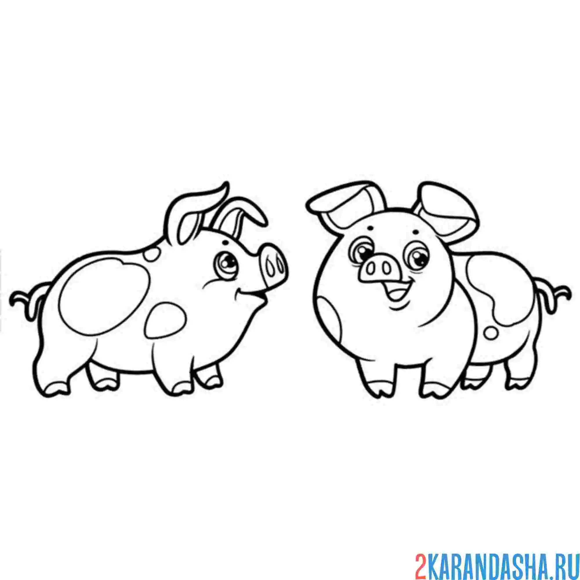 Раскраска два маленьких поросенка