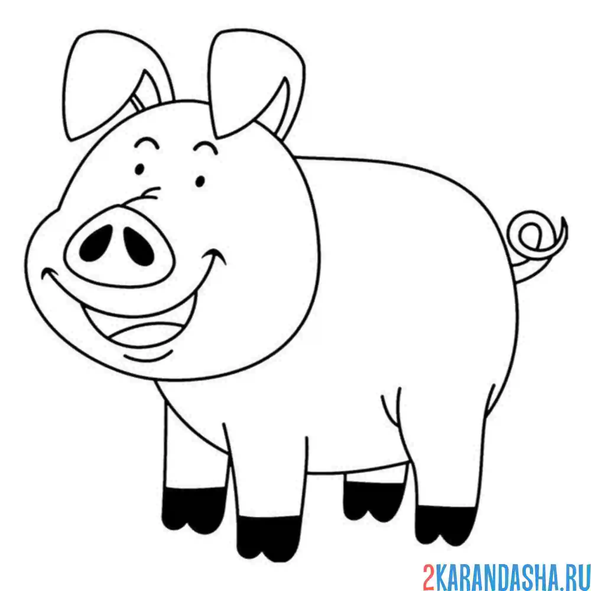 Раскраска хрю свинья