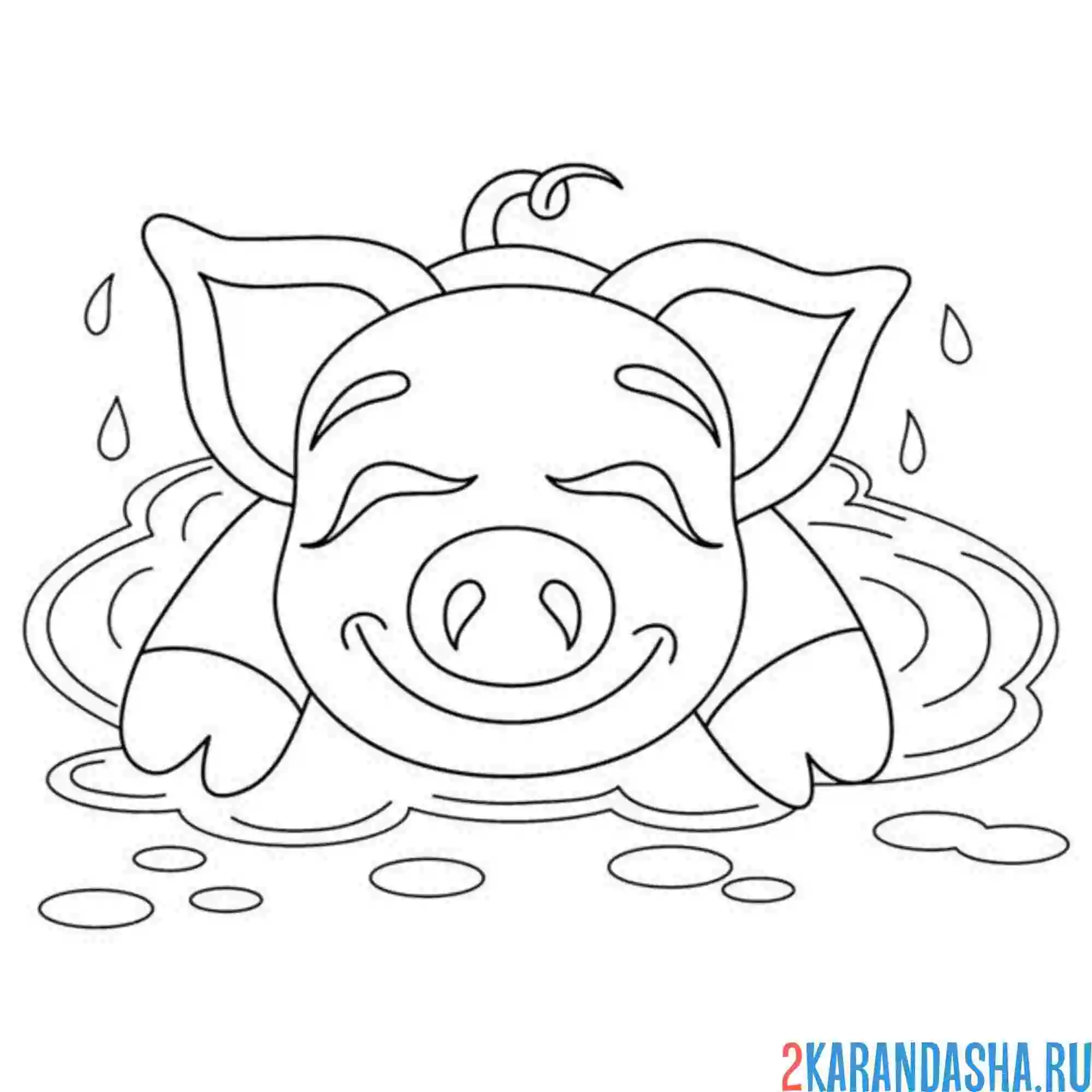 Раскраска свинка валяется в луже