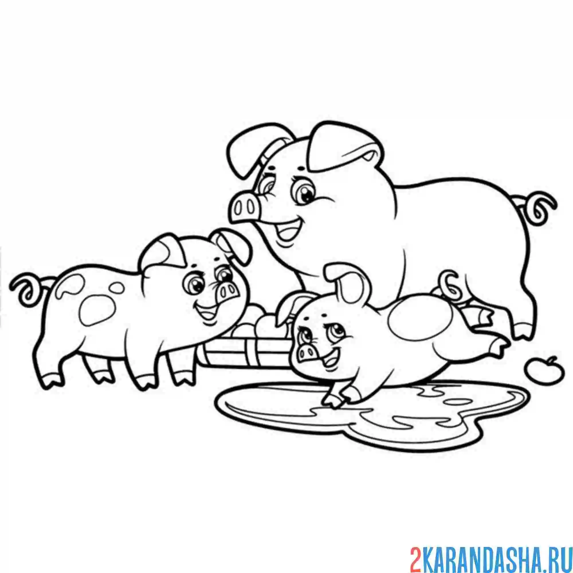 Раскраска мама свинья и поросята