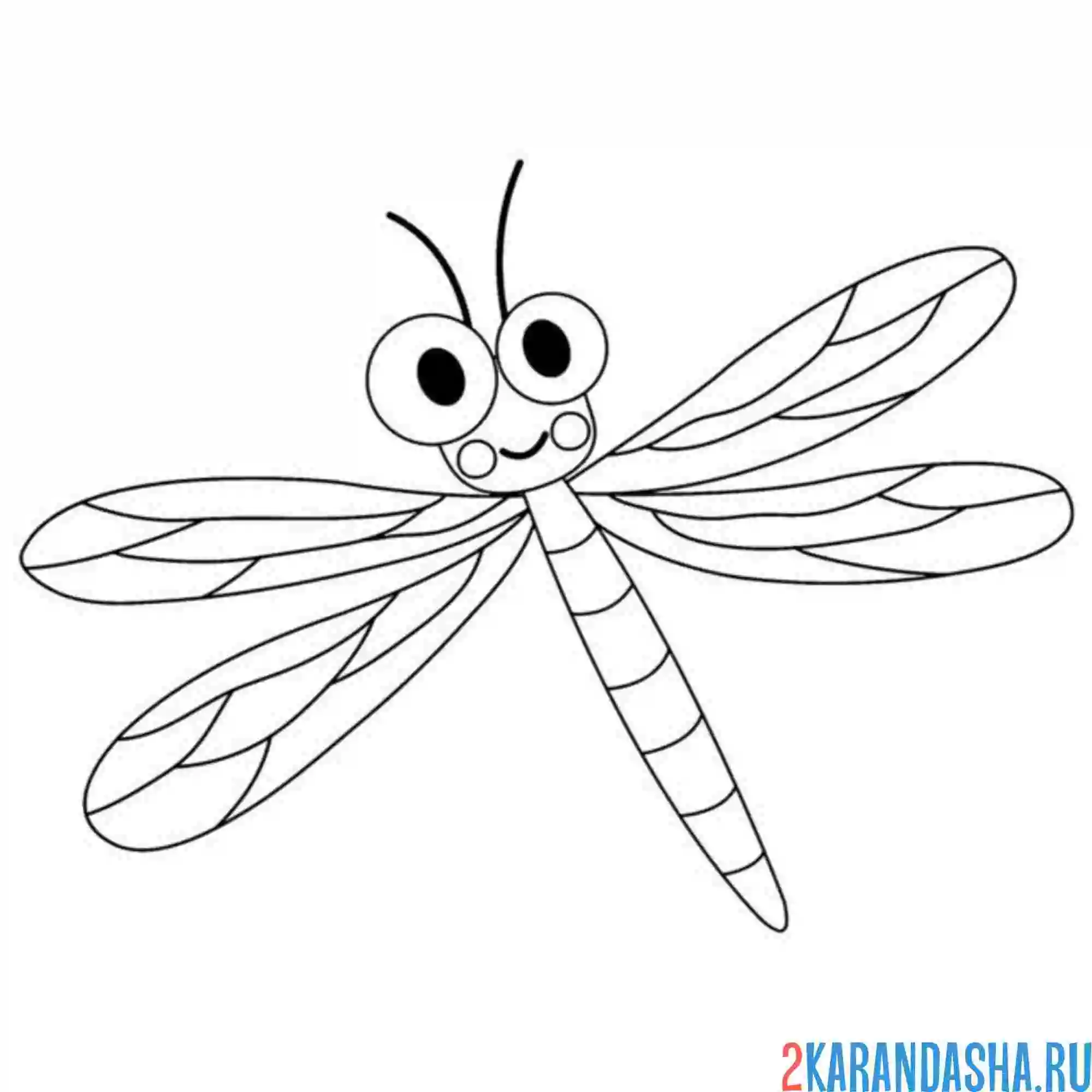 Раскраска улыбающаяся стрекоза