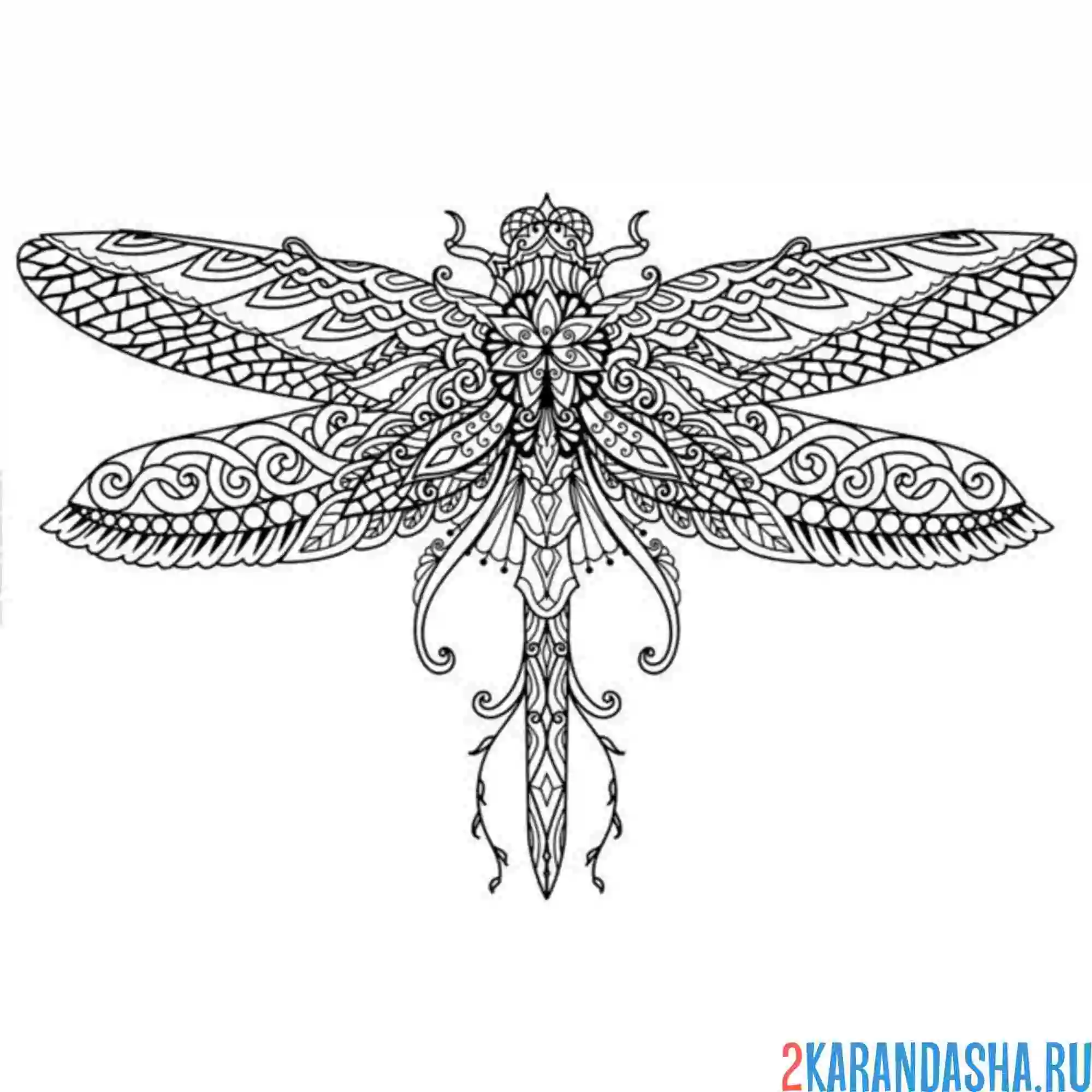 Раскраска антистресс стрекоза