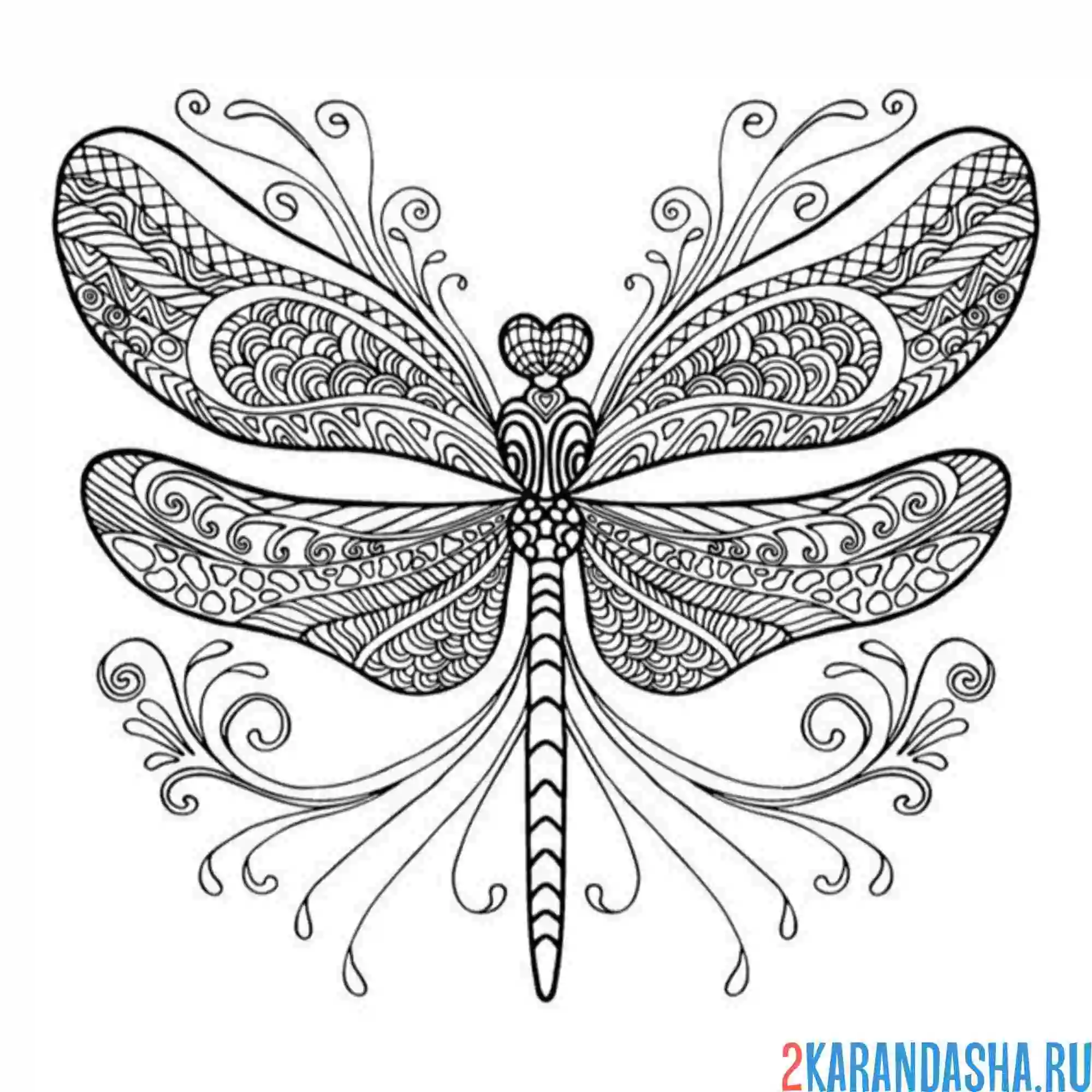 Раскраска узоры для стрекозы