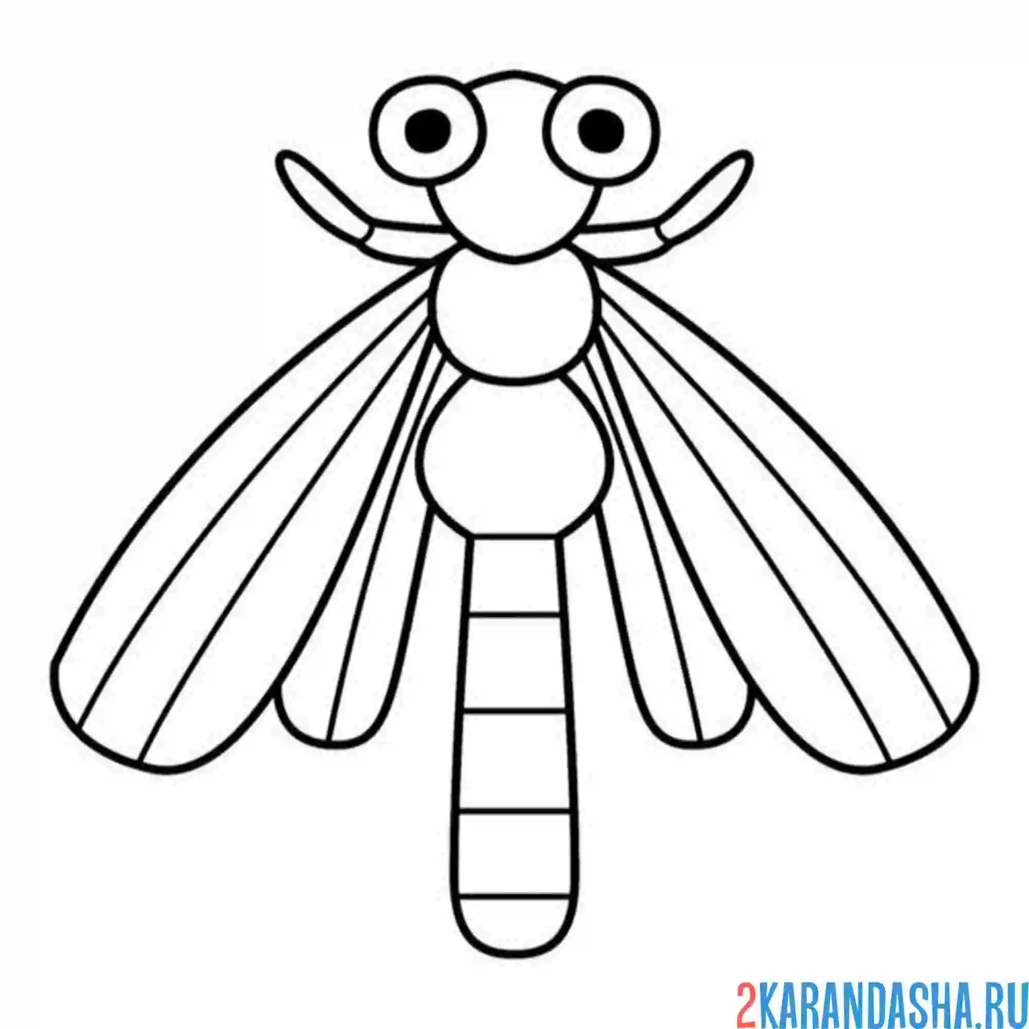 Раскраска стрекоза простая иллюстрация