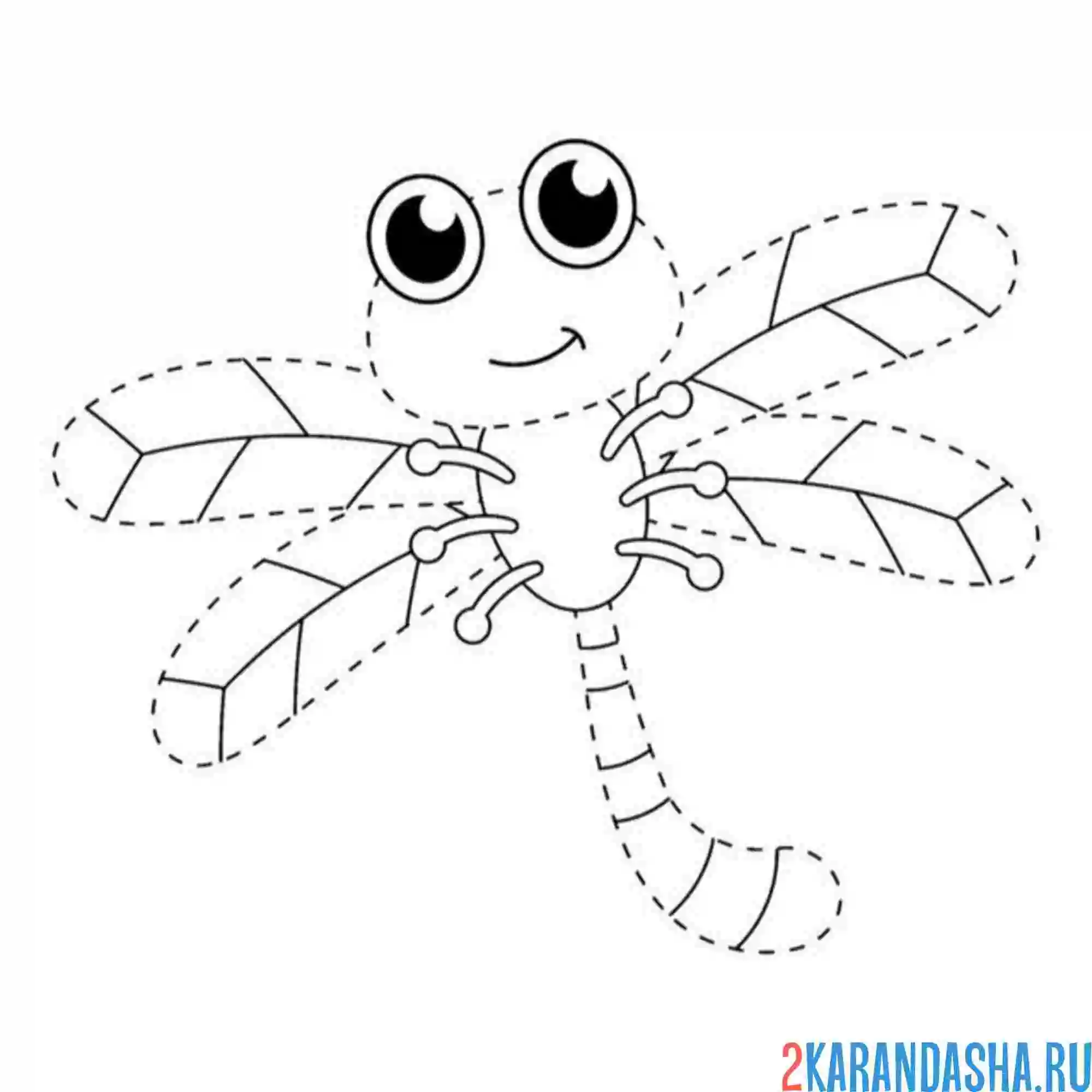 Раскраска стрекоза по линиям