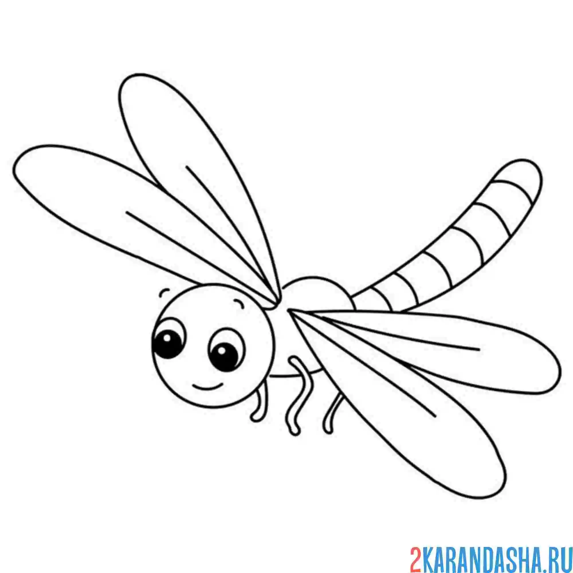 Раскраска маленькая стрекоза