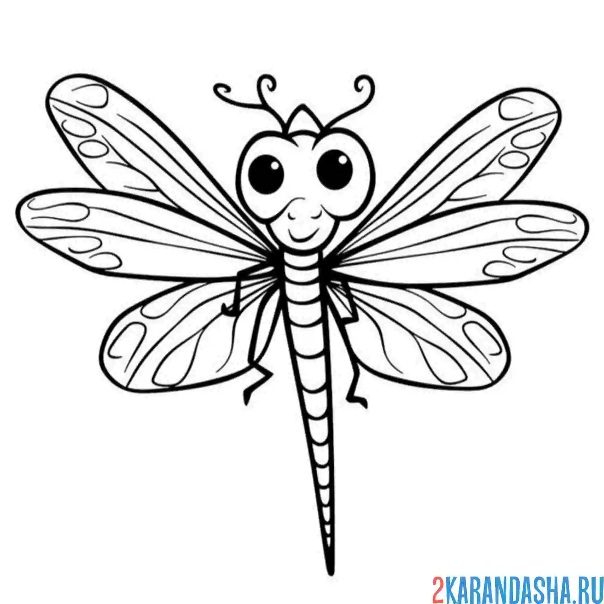 Раскраска большеглазая стрекоза