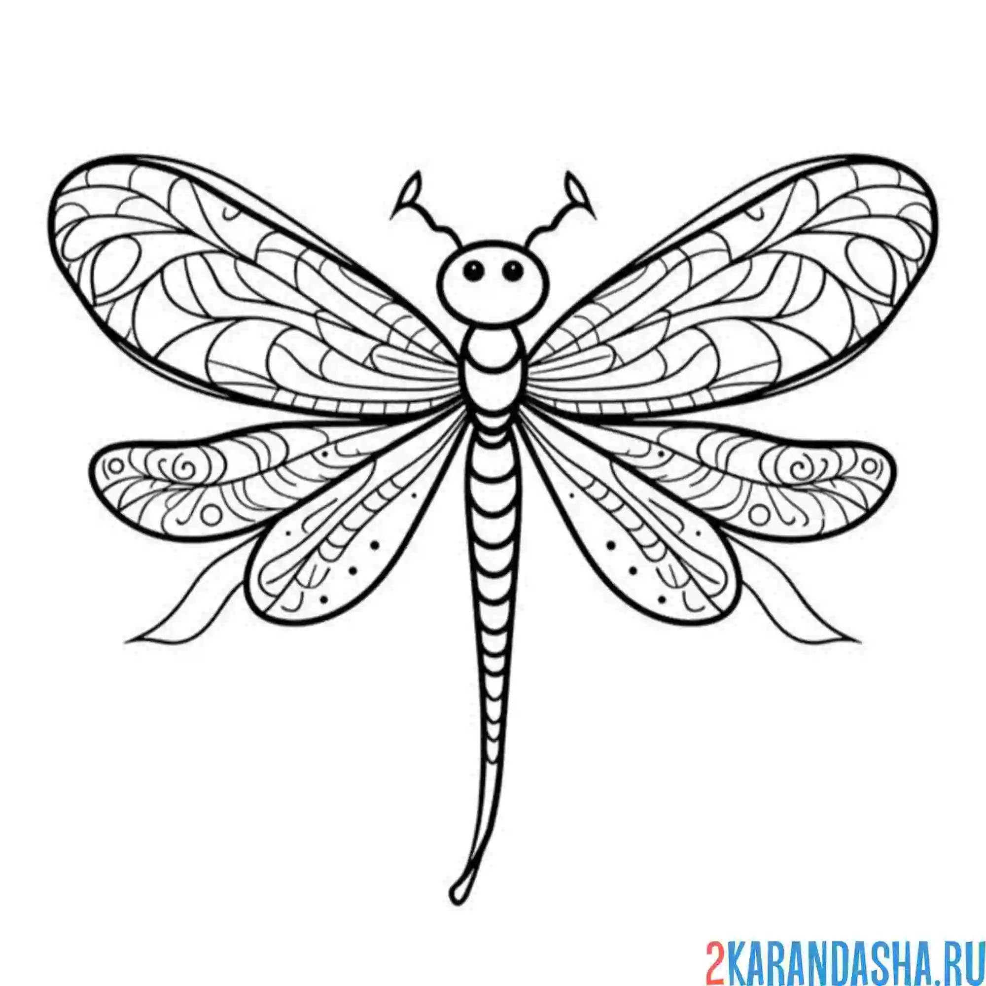 Раскраска стрекоза с крыльями