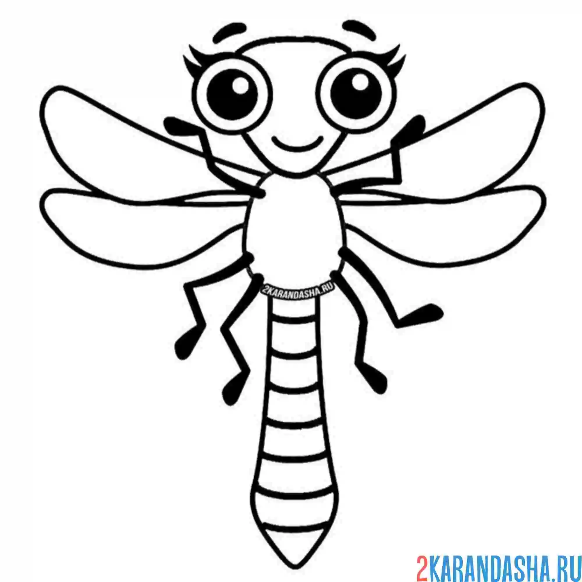 Раскраска симпатичная стрекоза