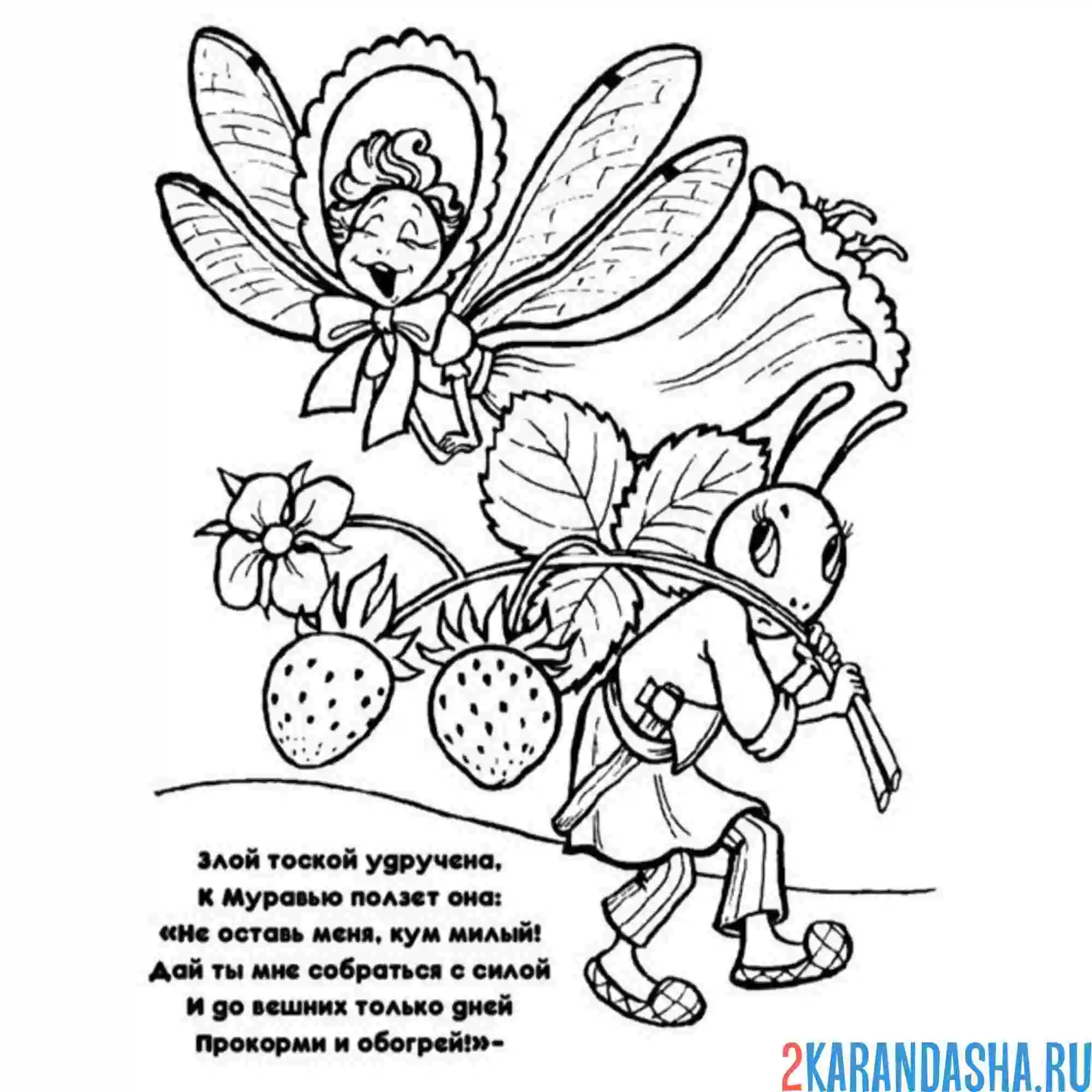 Раскраска стрекоза и муравей басня