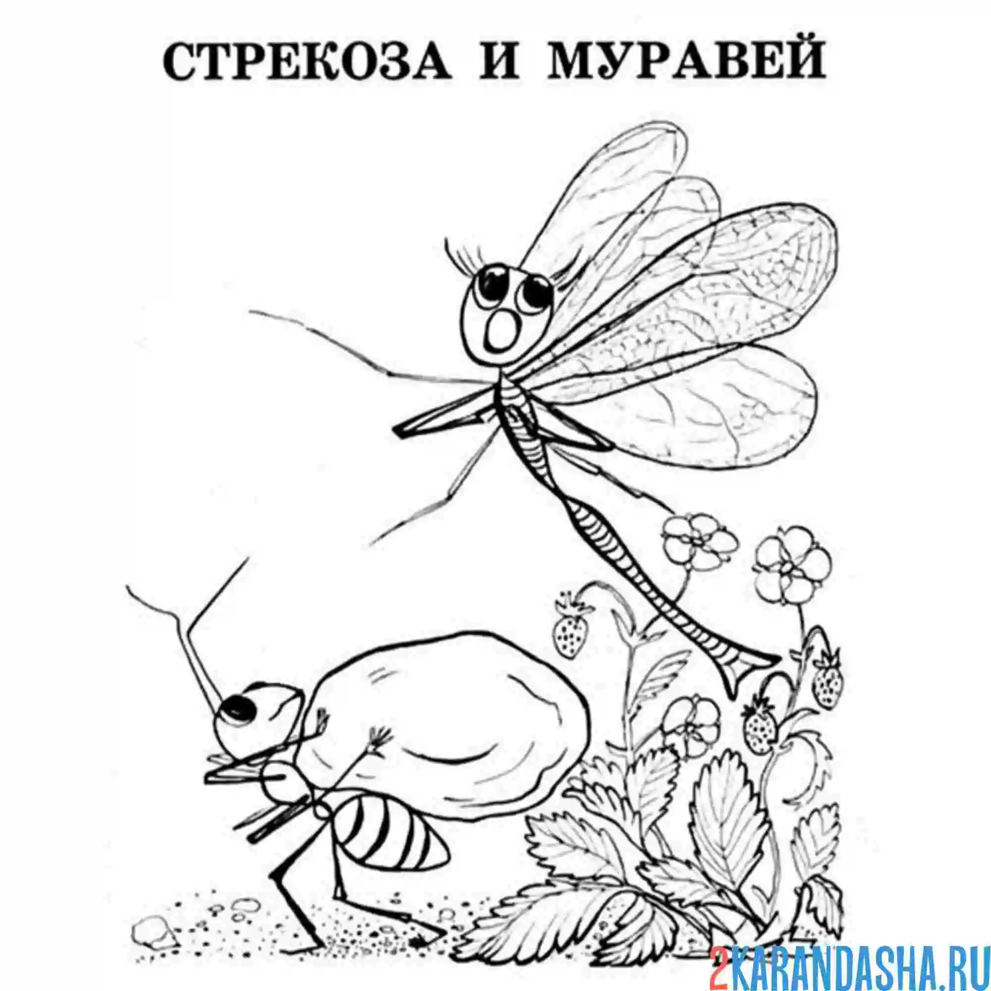 Раскраска стрекоза и муравей момент