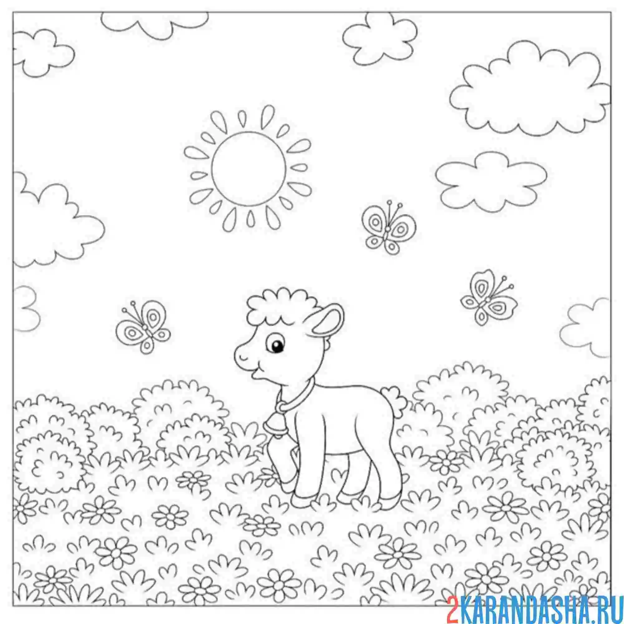 Раскраска овечка на лугу