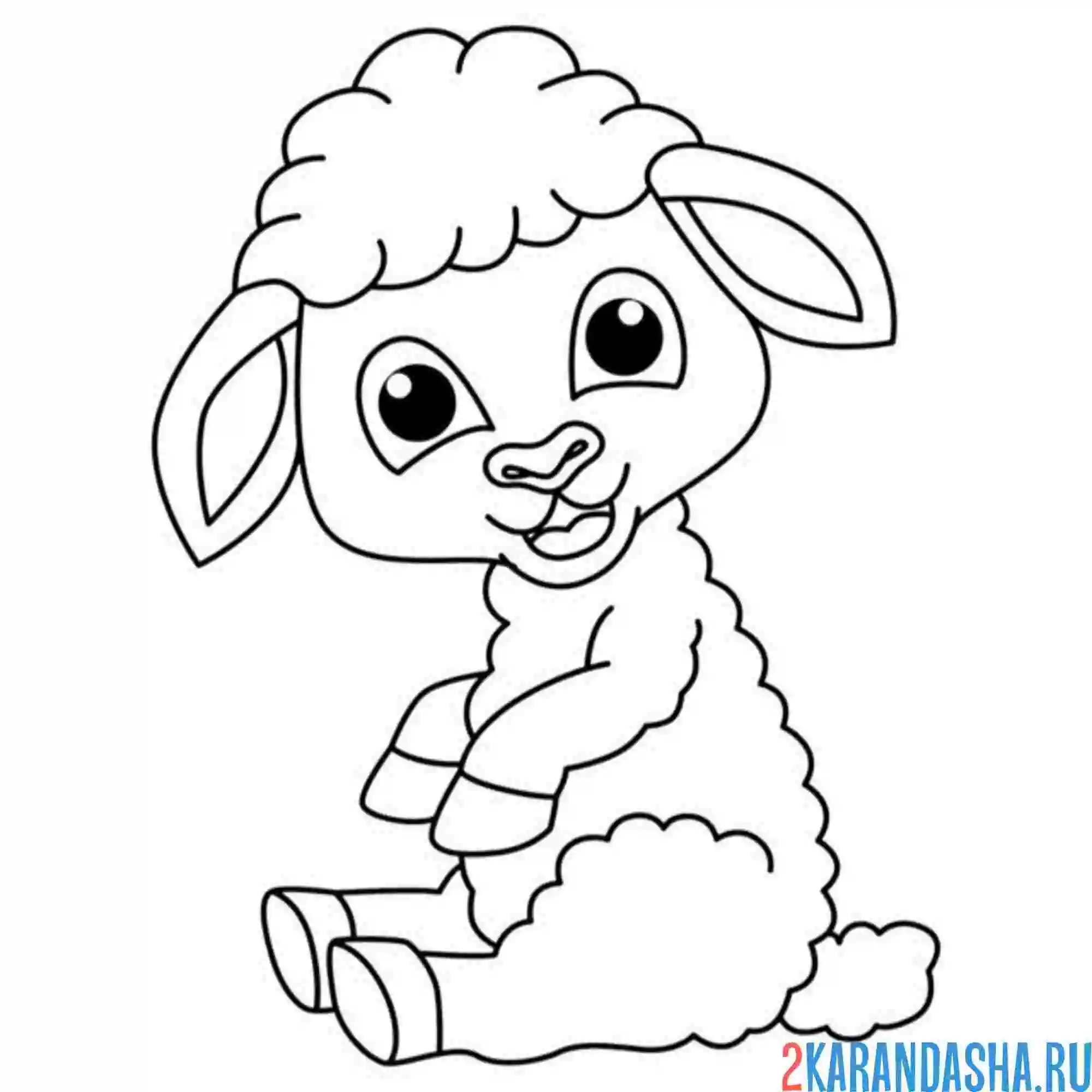 Раскраска барашек сидит