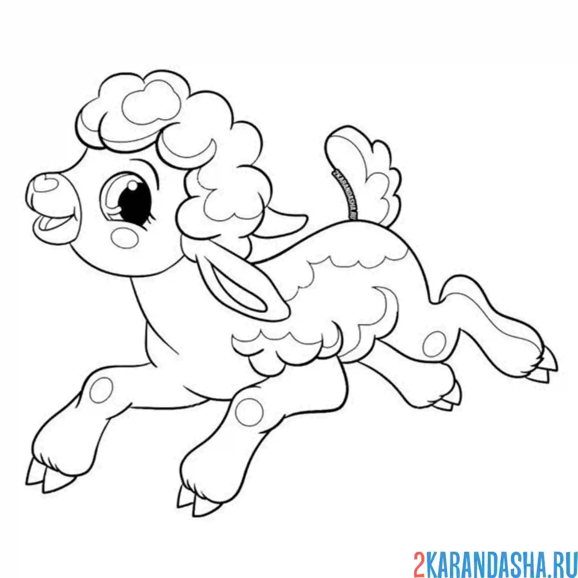 Раскраска прыжок барашка