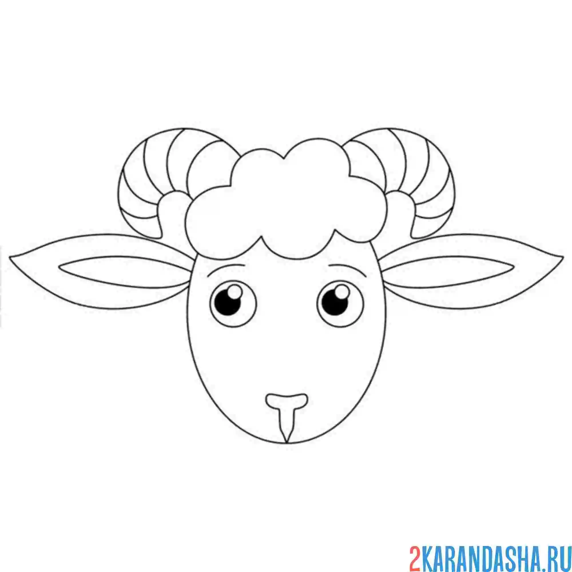 Раскраска голова барана