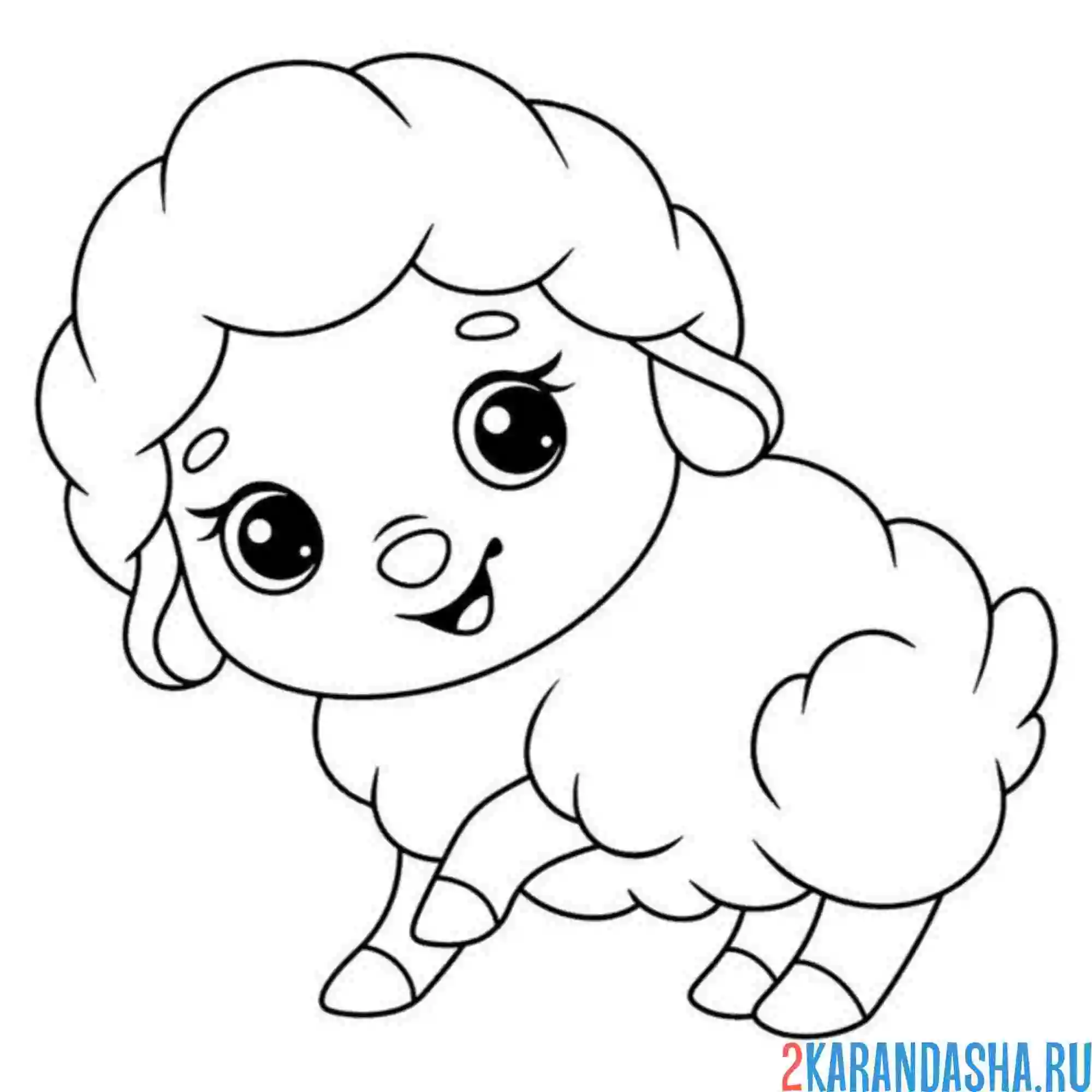 Раскраска няшный барашек