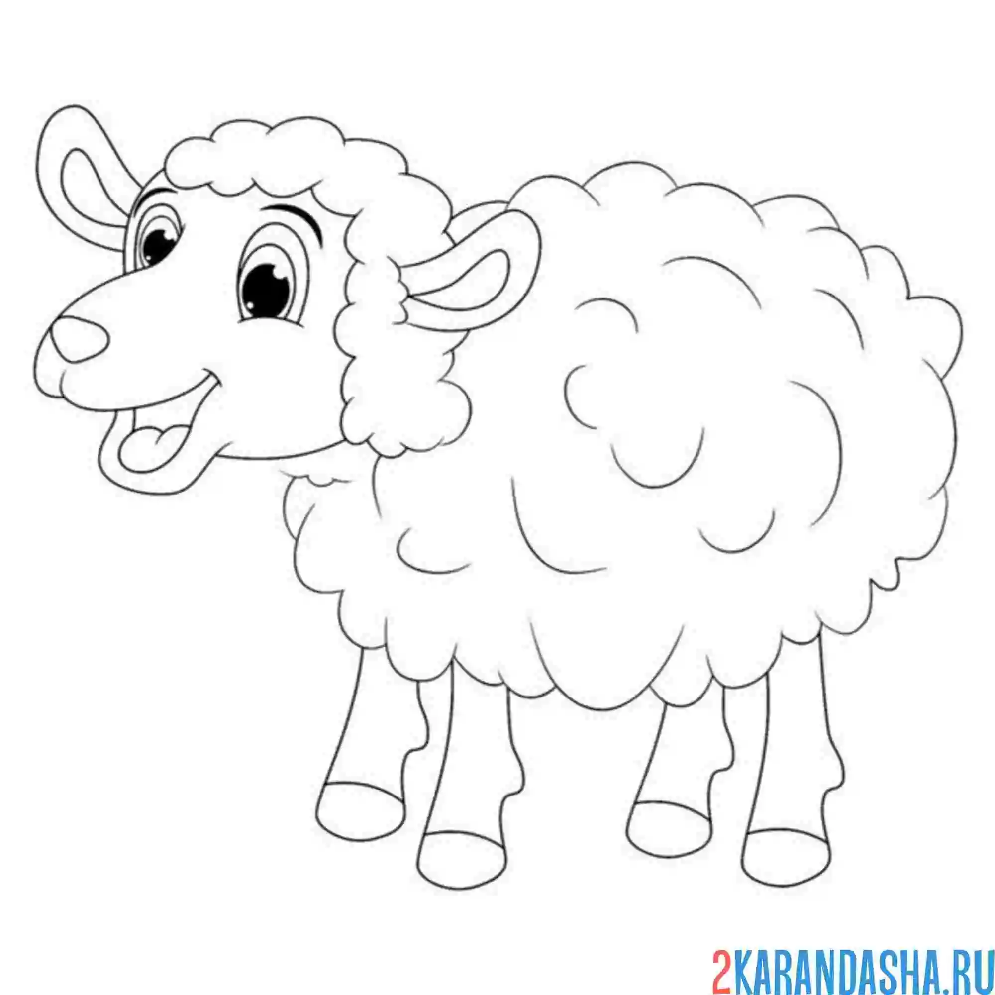 Раскраска овечка блеет