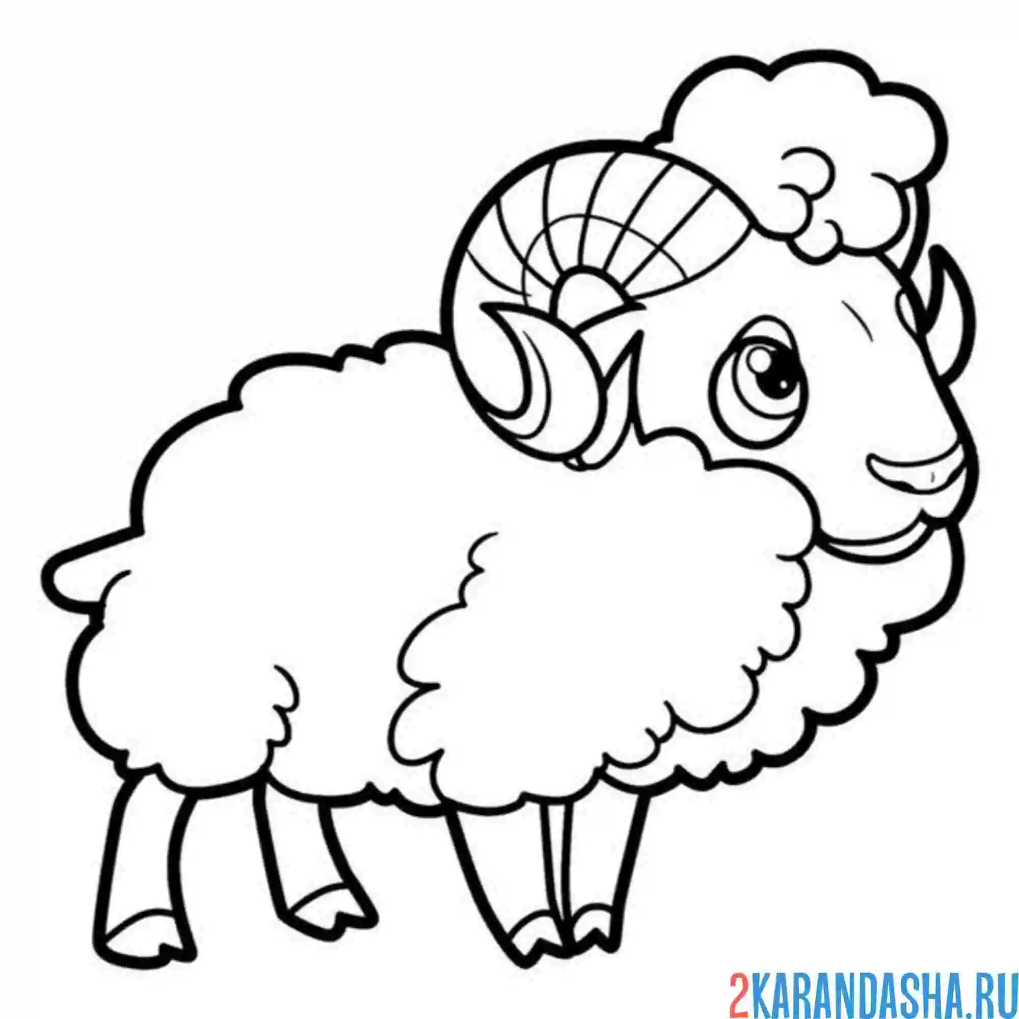 Раскраска настырный баран