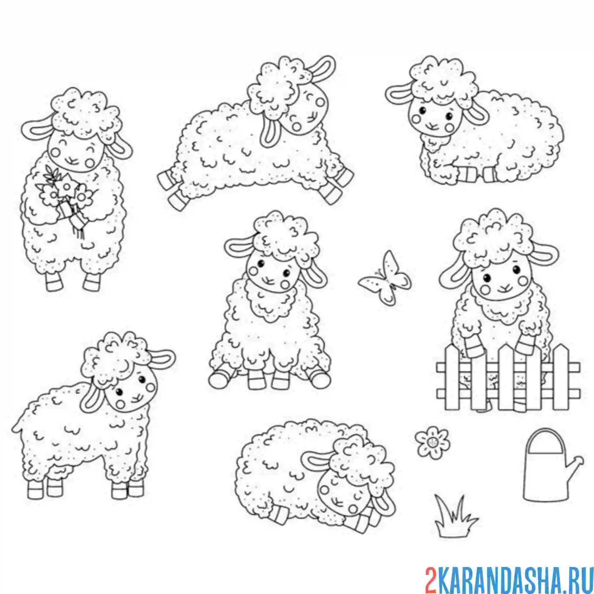 Раскраска разные овечки