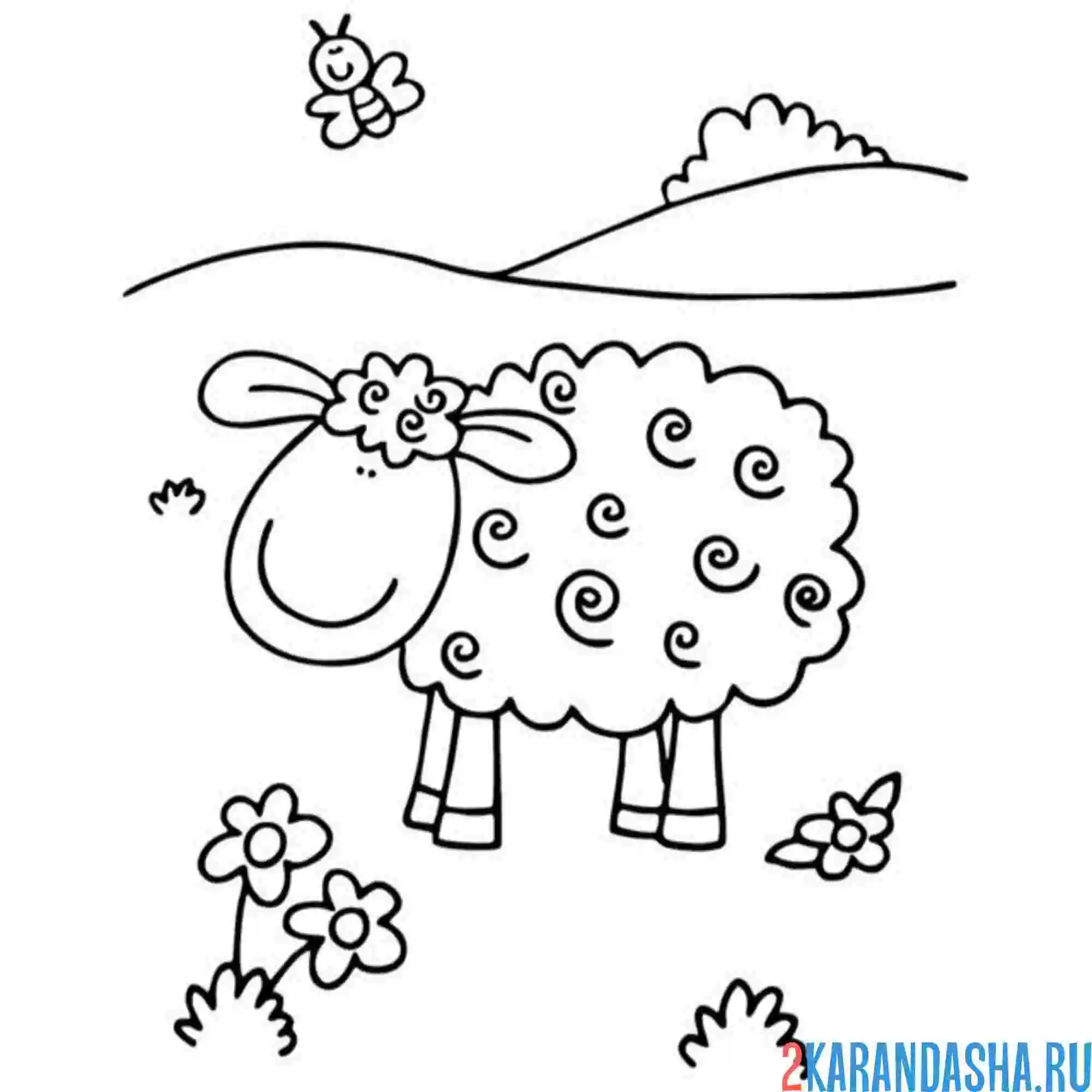 Раскраска овечка на пастбище