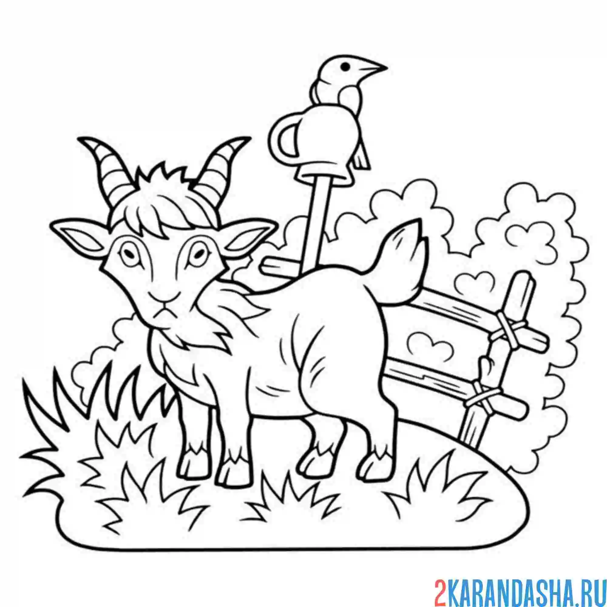 Раскраска козел в деревне