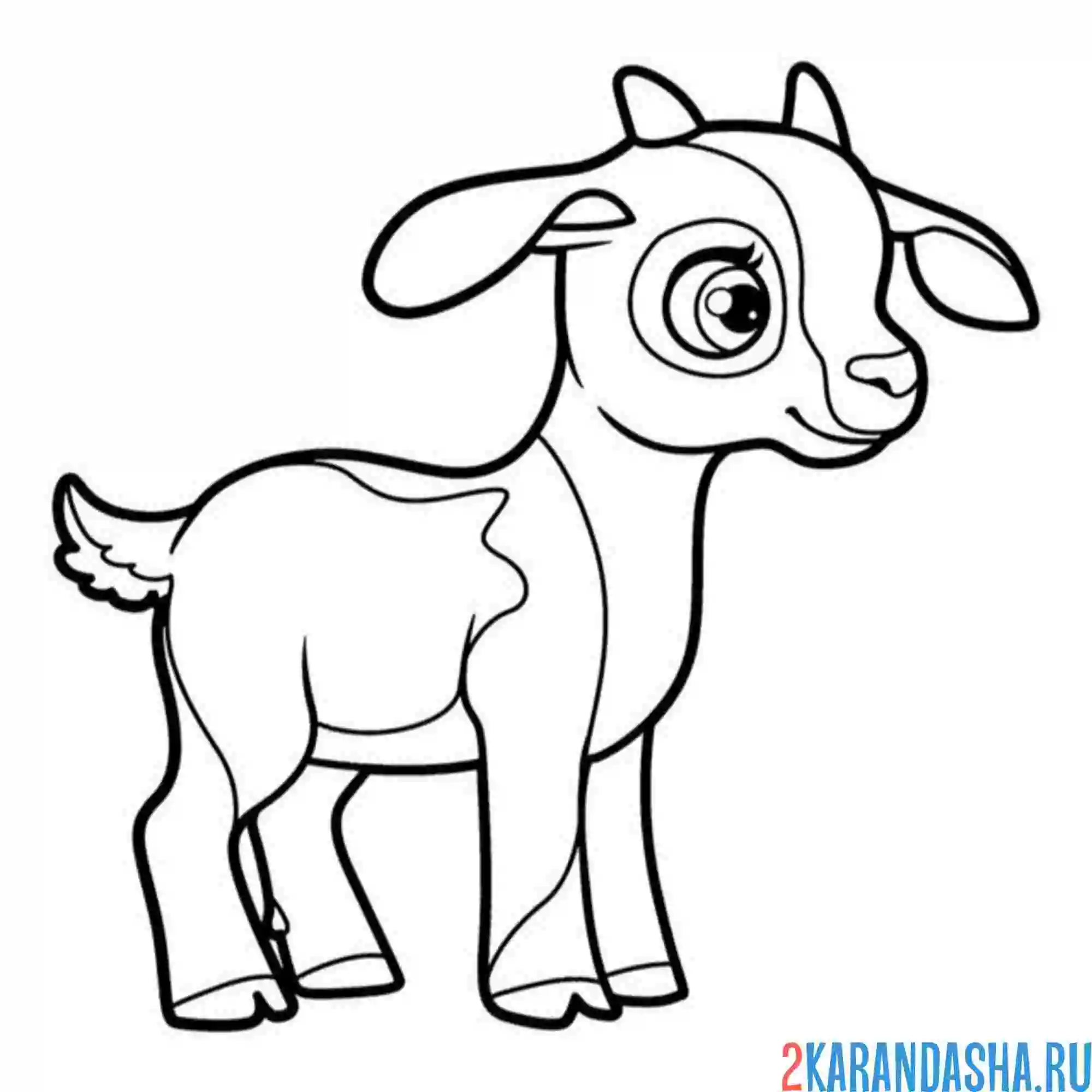 Раскраска козлик подрос