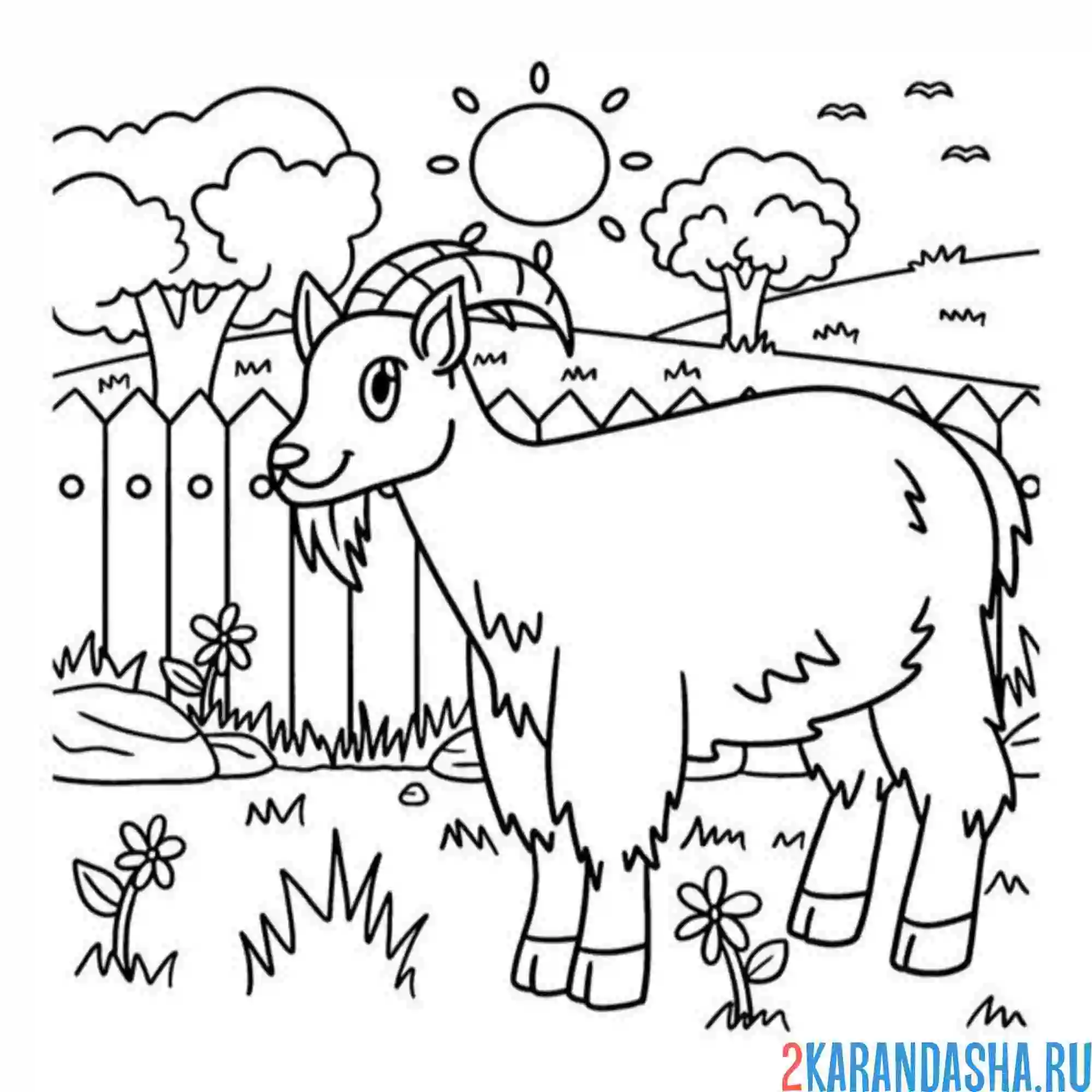 Раскраска козел гуляет