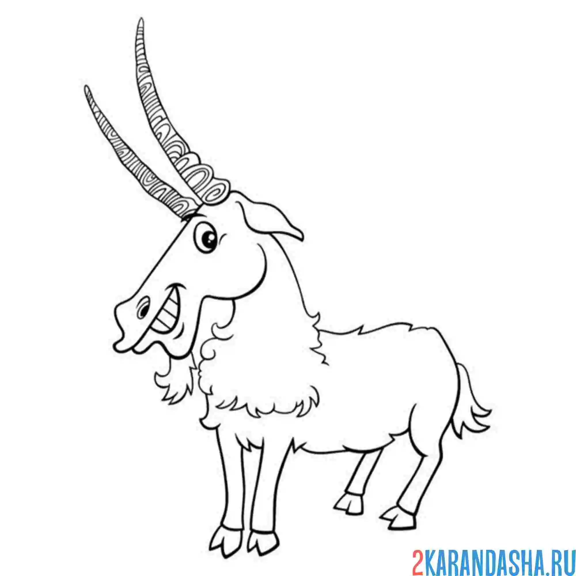 Раскраска горный козел с длинными рогами