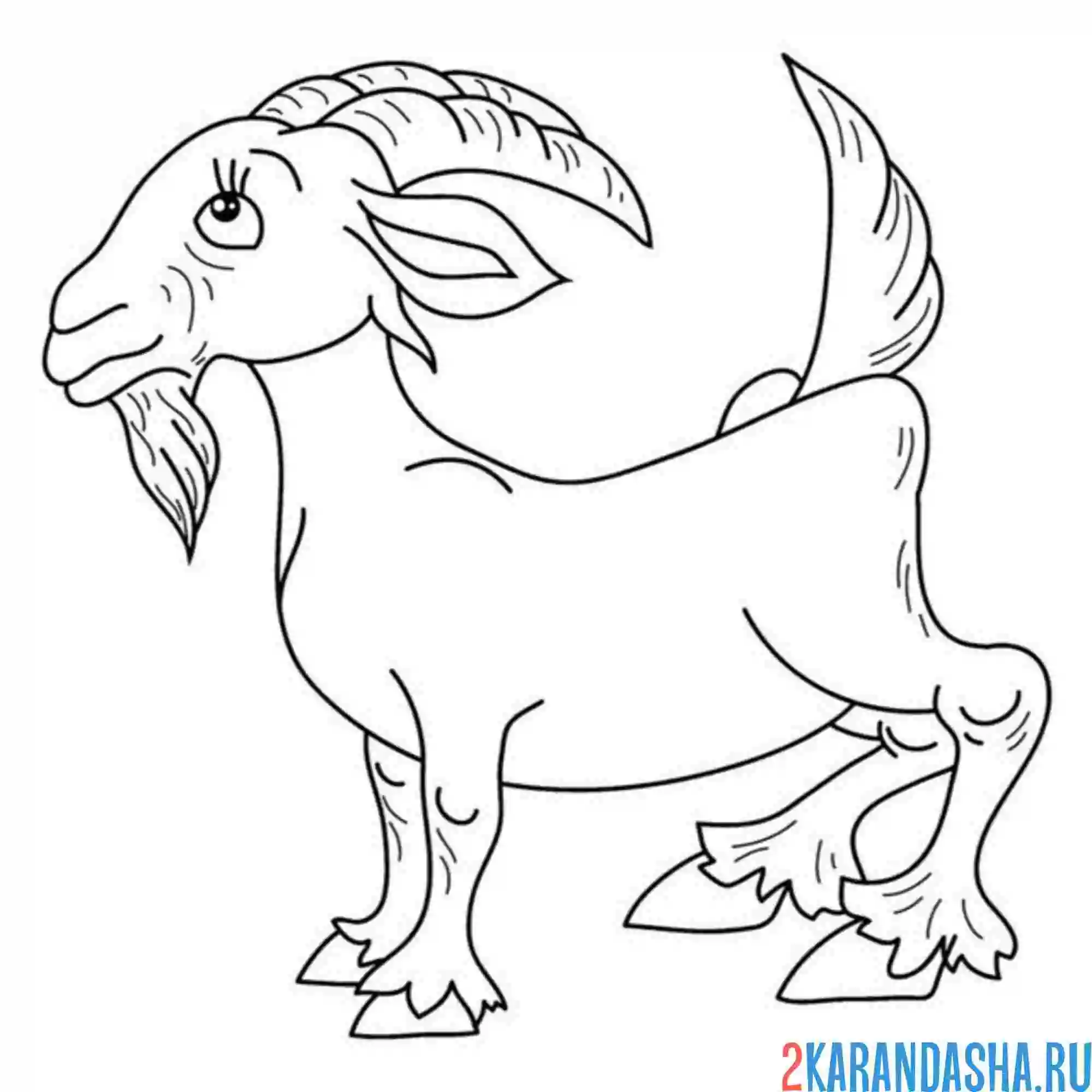 Раскраска взрослый козел